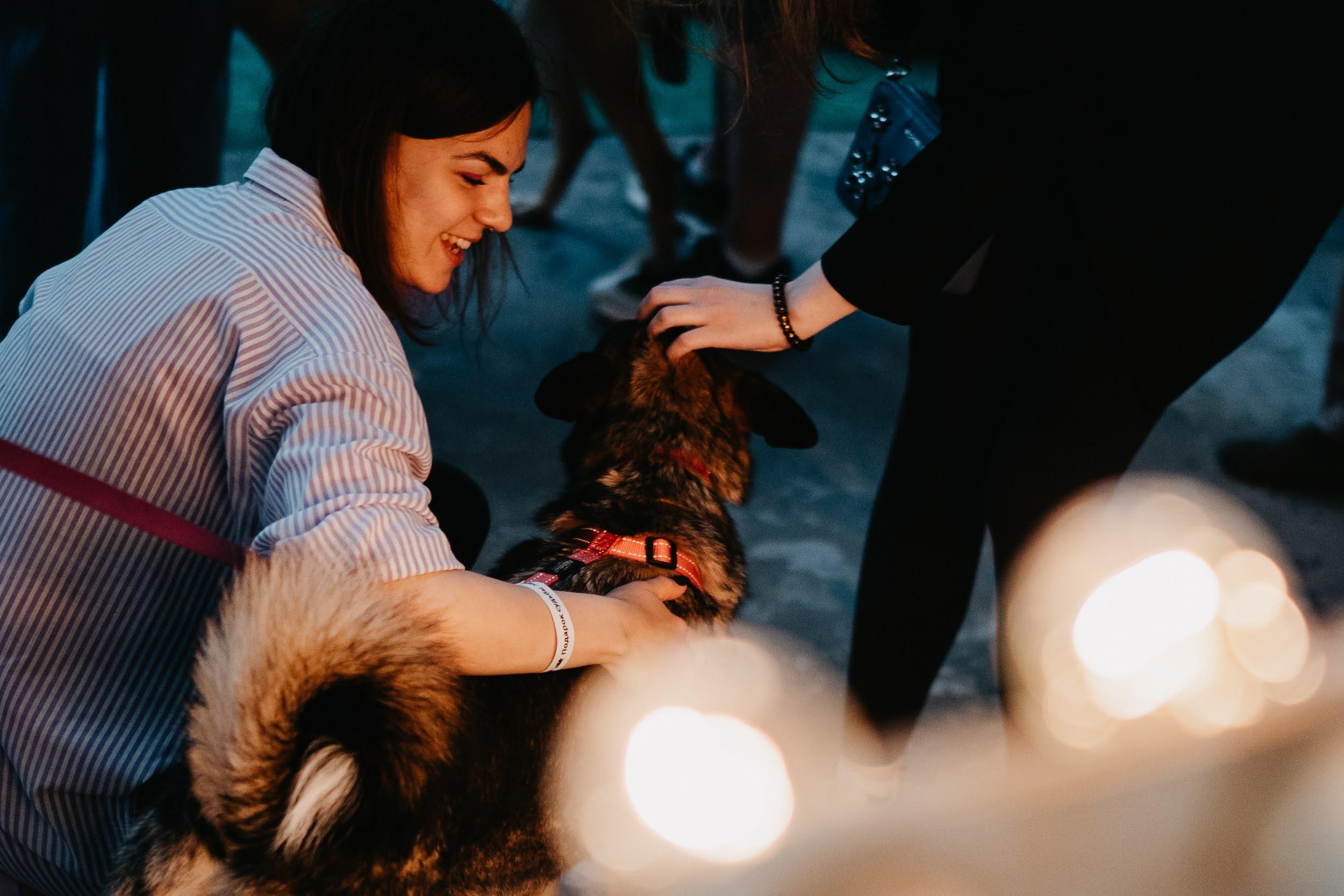 Shelter dogs. Real moments between people and their dogs