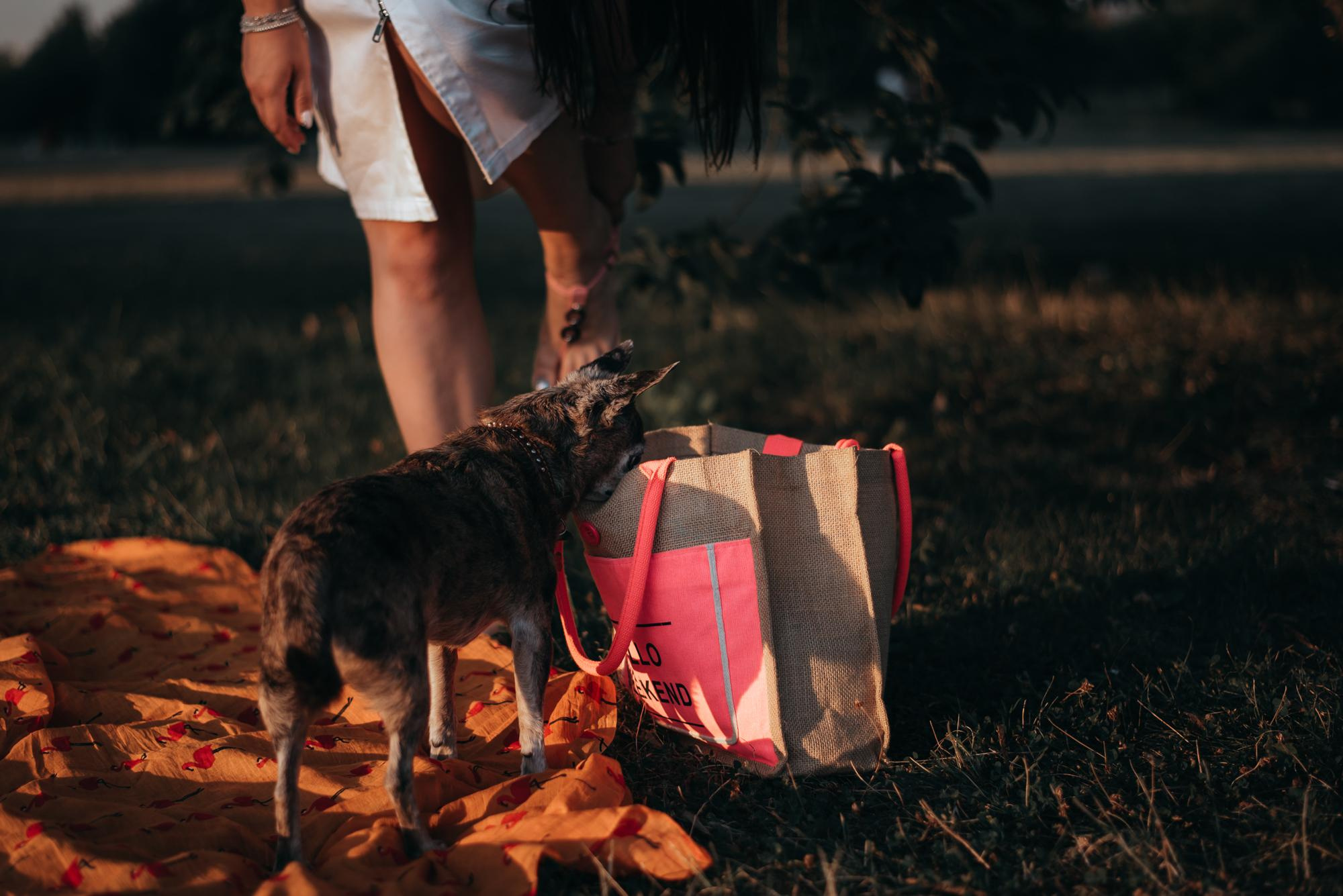 Elena and Vegas. Real moments between people and their dogs