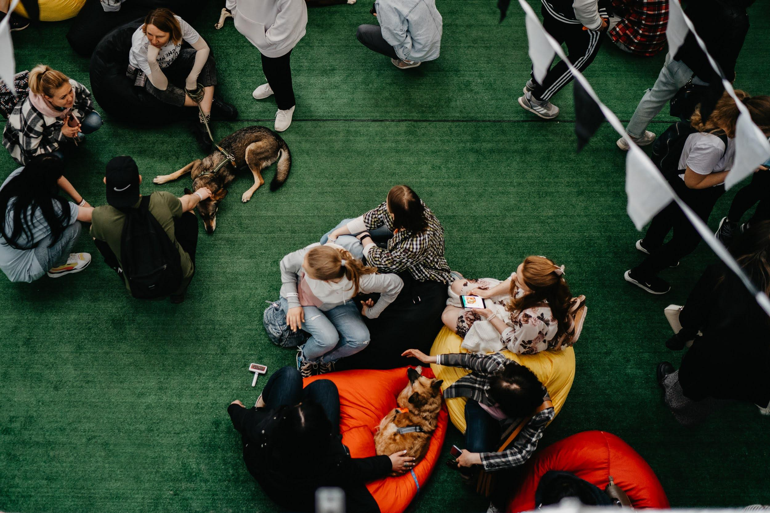 Shelter dogs. Real moments between people and their dogs