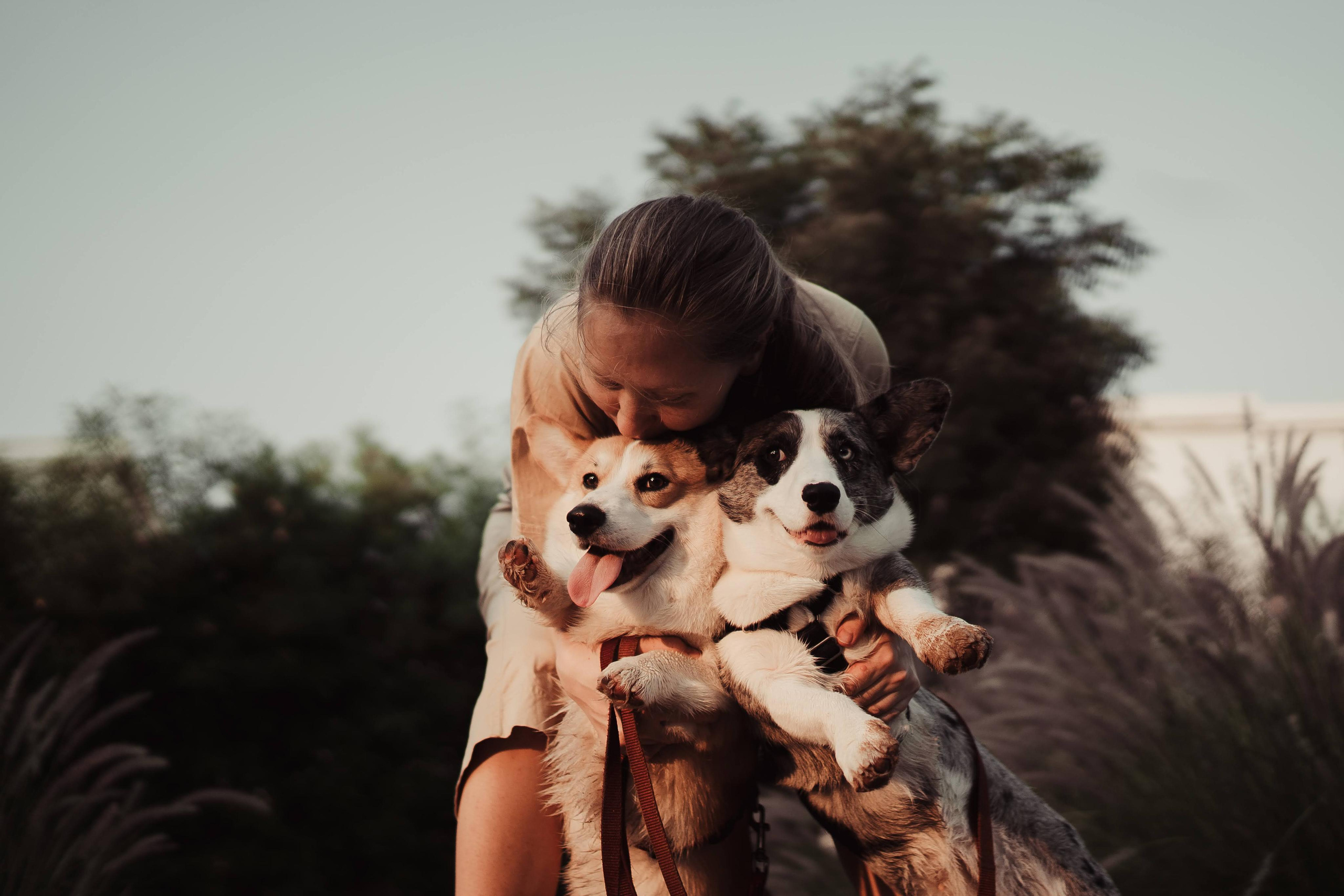 Family photo shoot. Real moments between people and their dogs