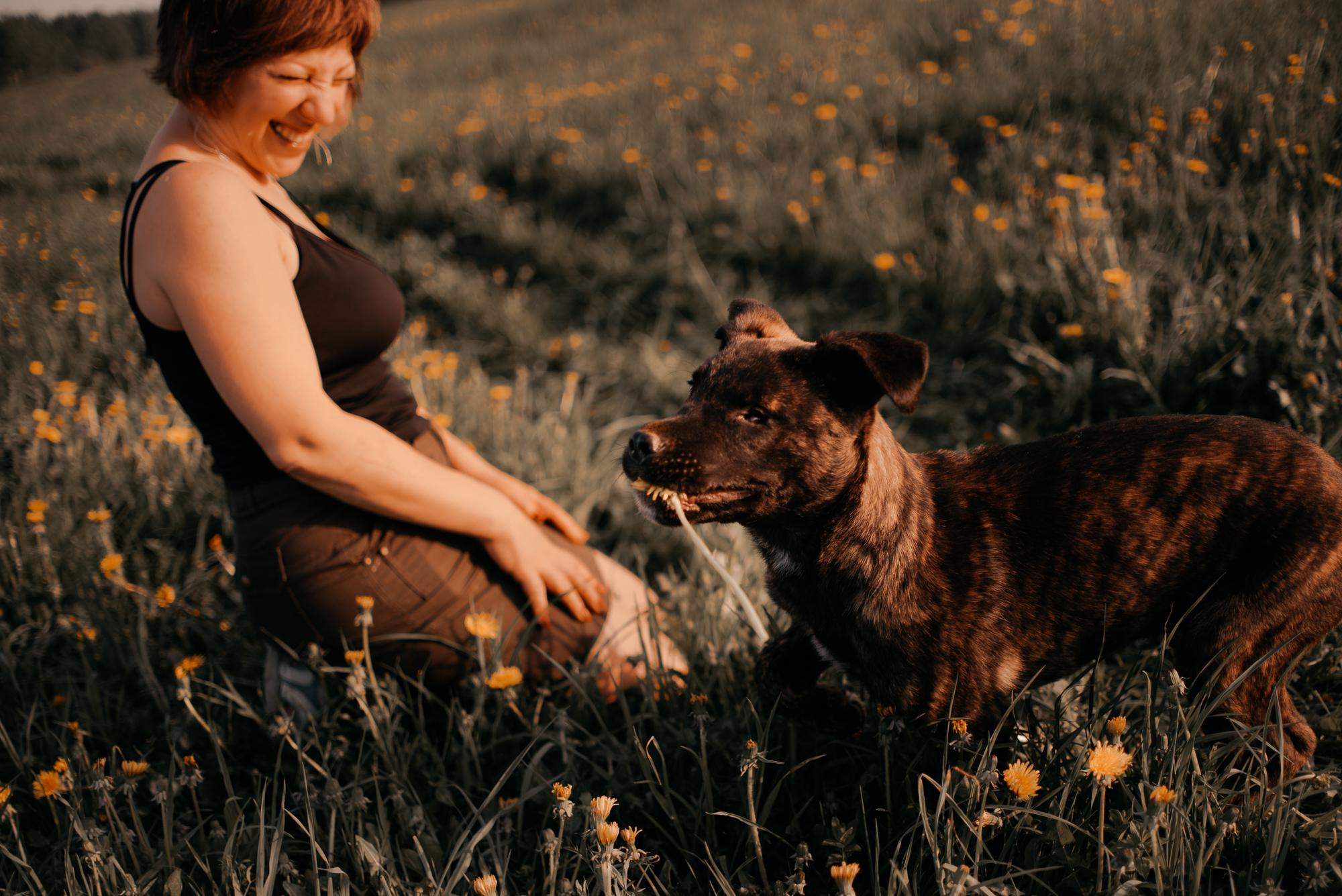 Are they looking for or have found a family. Real moments between people and their dogs