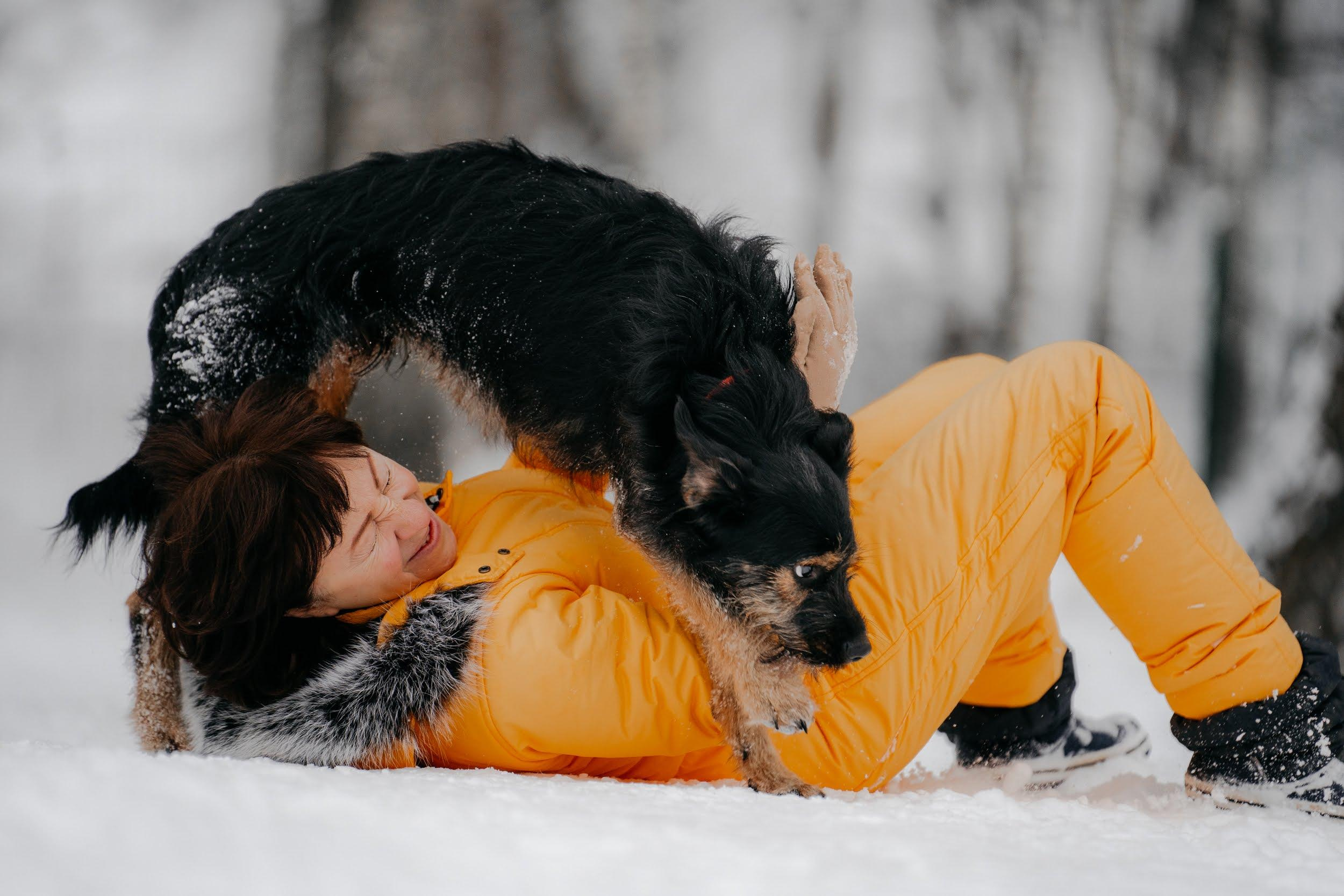 Are they looking for or have found a family. Real moments between people and their dogs