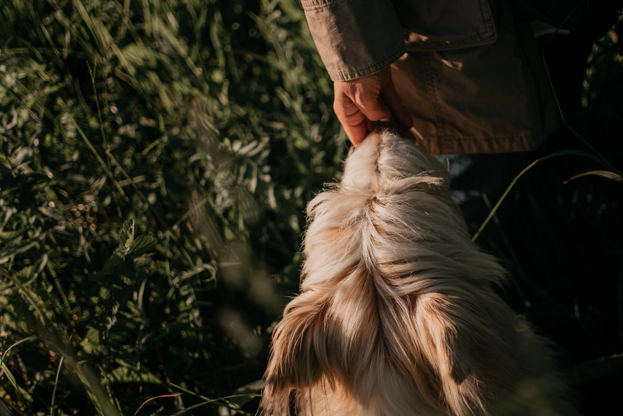 Julia and Marta. Real moments between people and their dogs