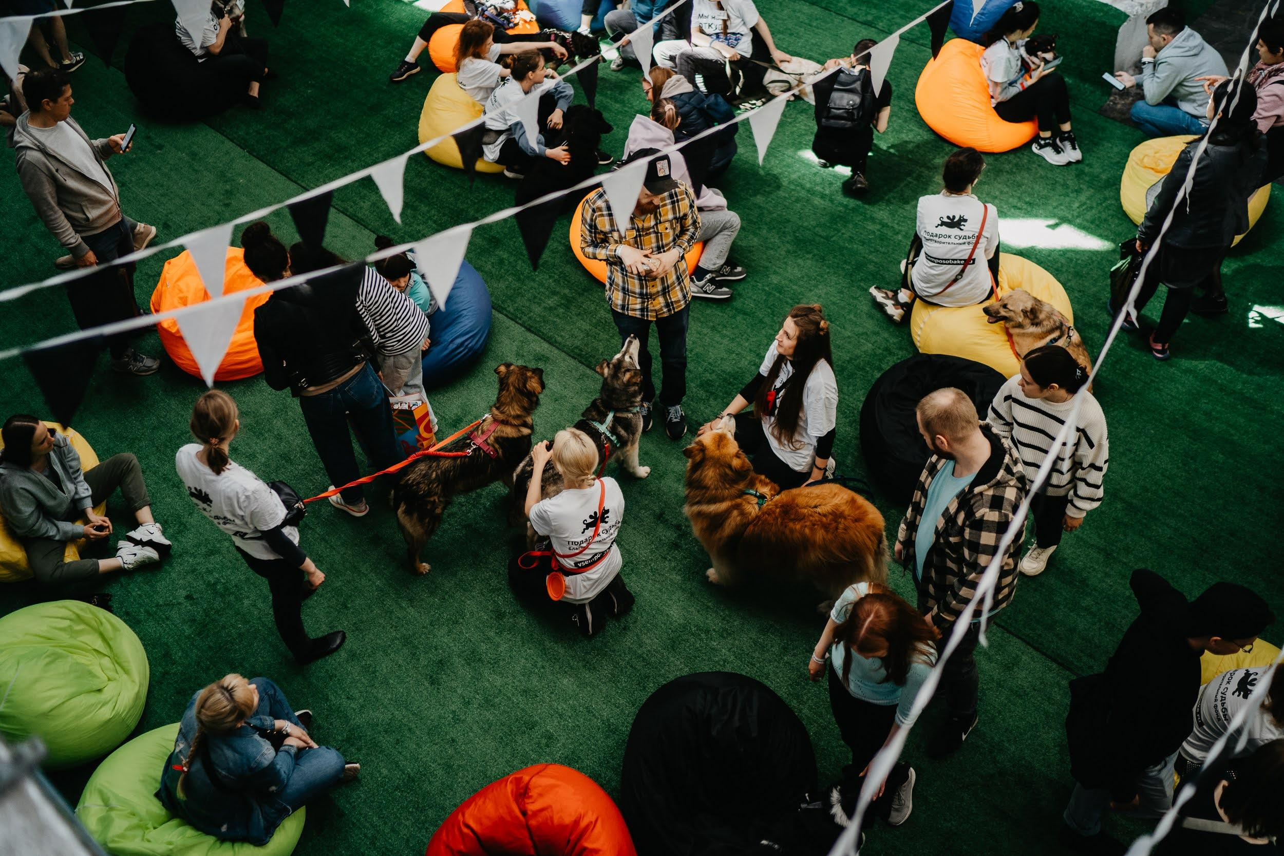 Shelter dogs. Real moments between people and their dogs
