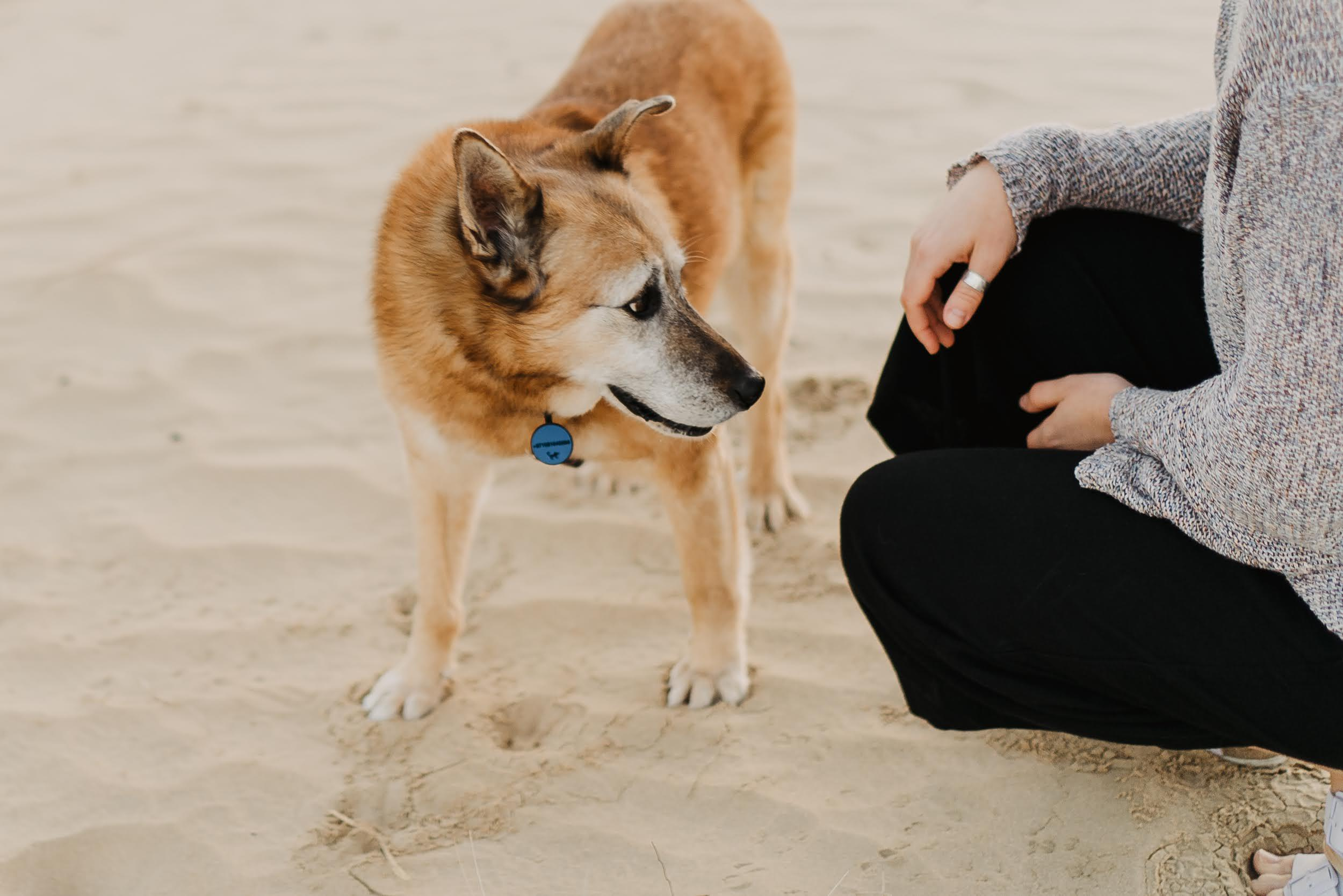Violet and Hvostik. Real moments between people and their dogs