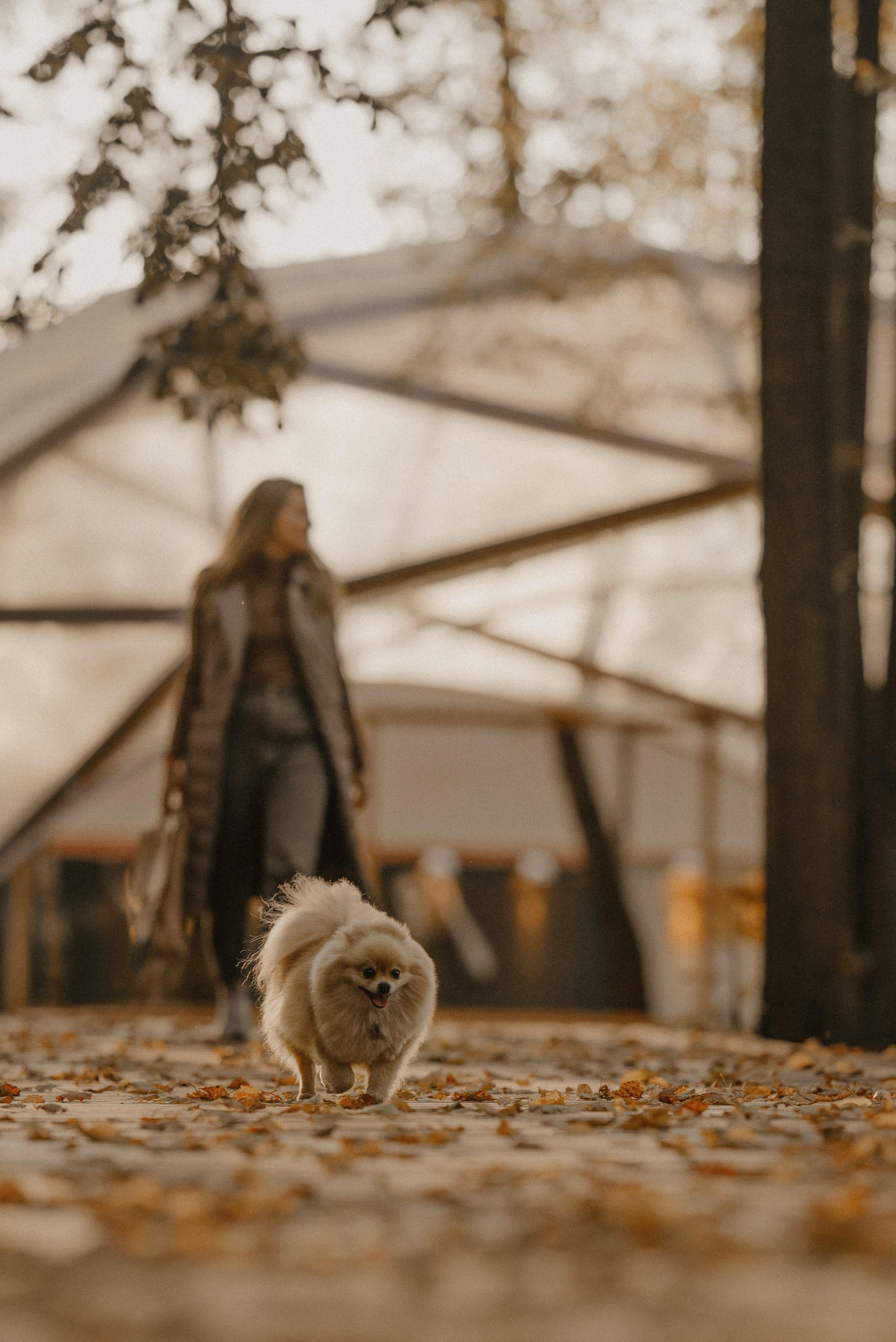 Anastasia and Vesta. Real moments between people and their dogs