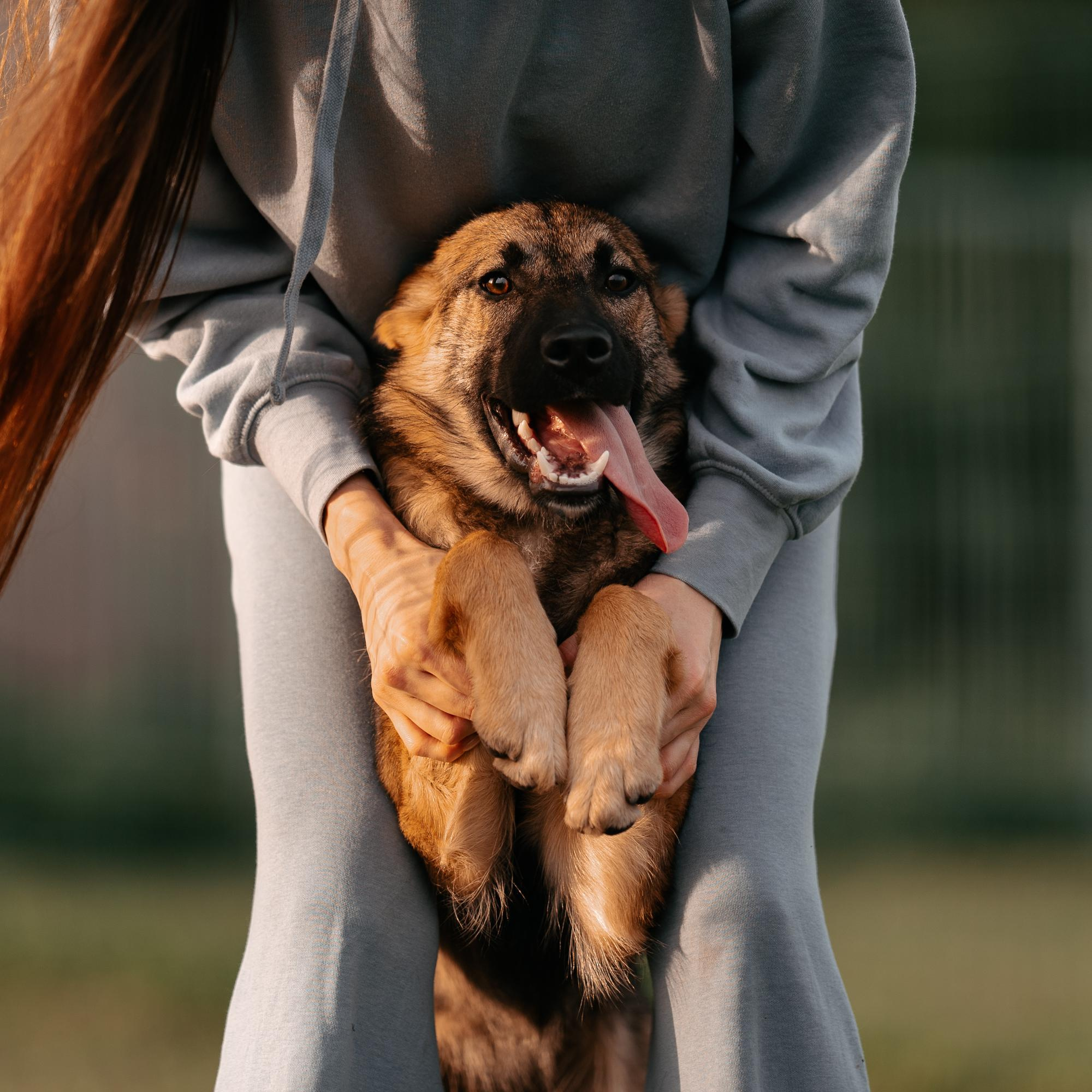 Are they looking for or have found a family. Real moments between people and their dogs