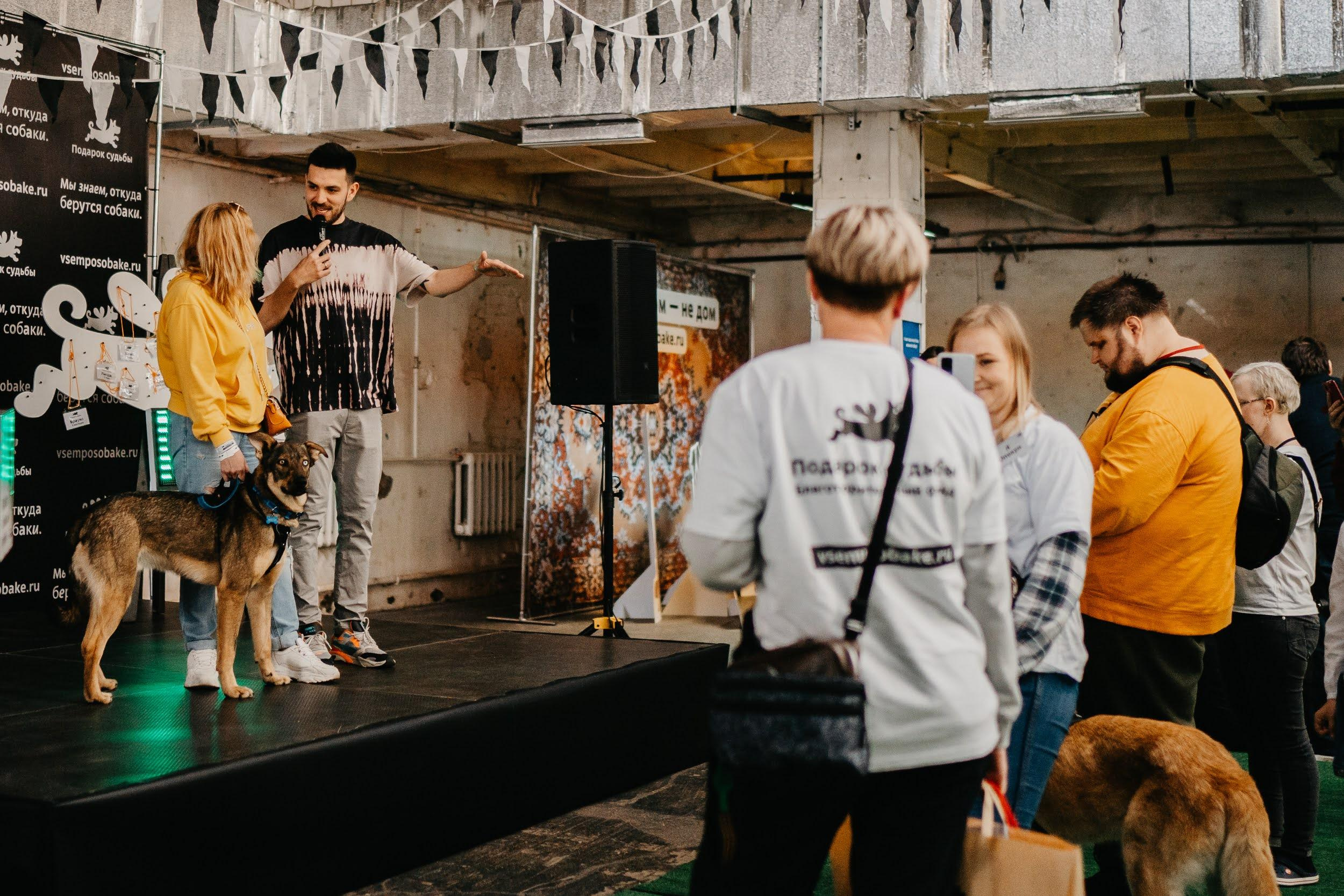Shelter dogs. Real moments between people and their dogs