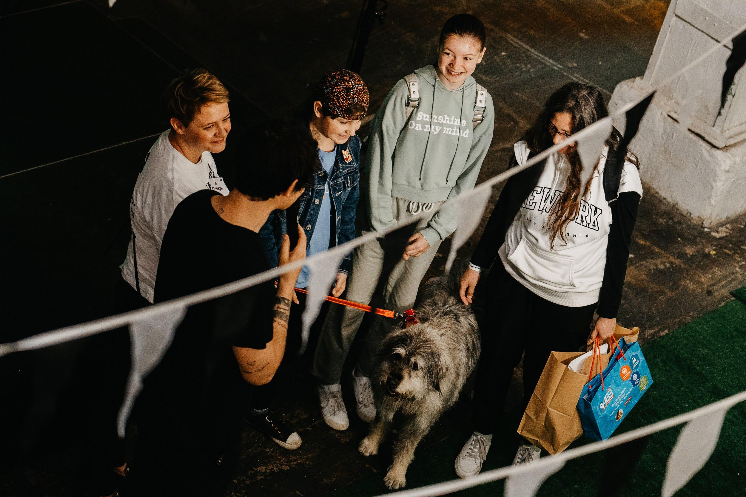 Shelter dogs. Real moments between people and their dogs