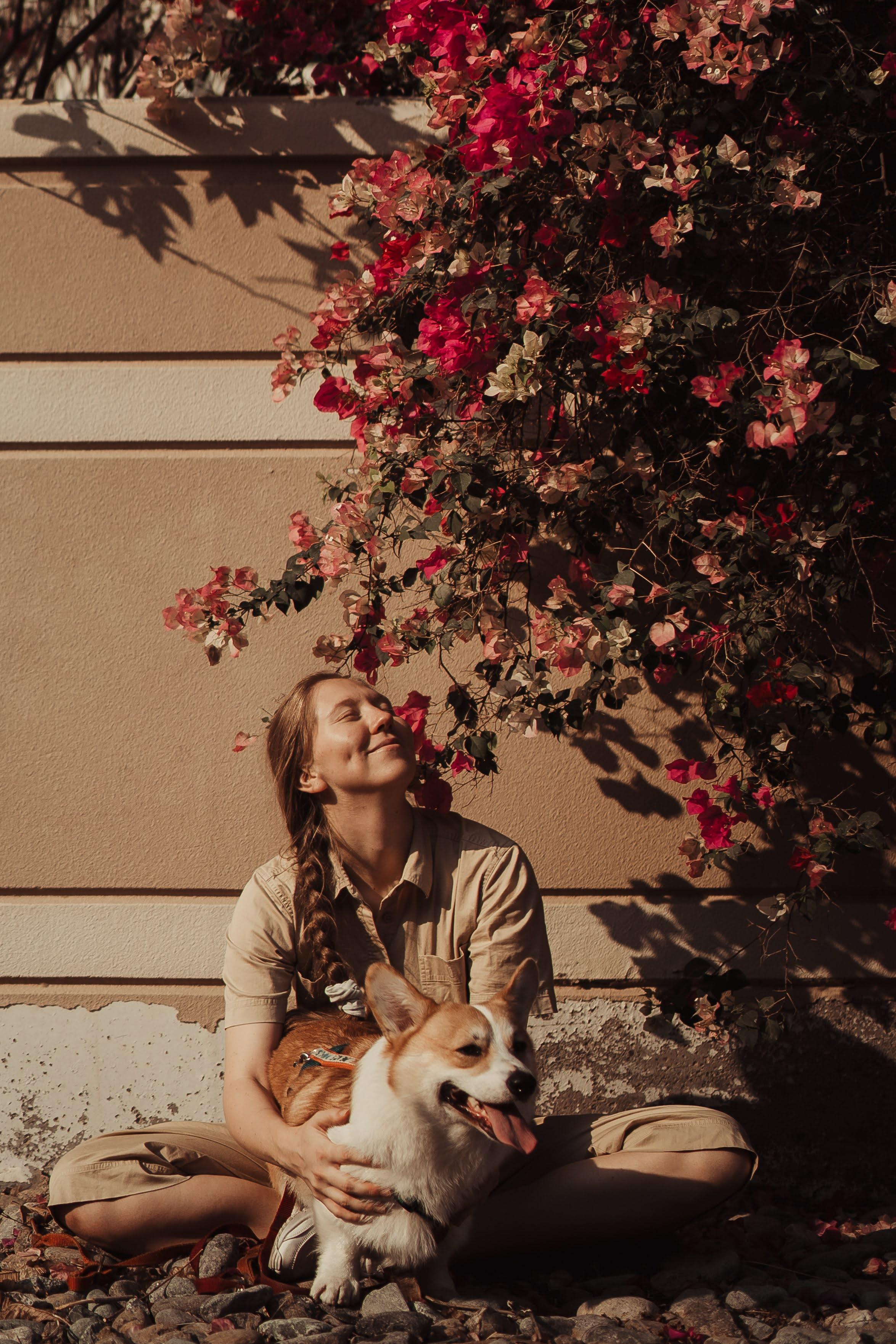 Family photo shoot. Real moments between people and their dogs