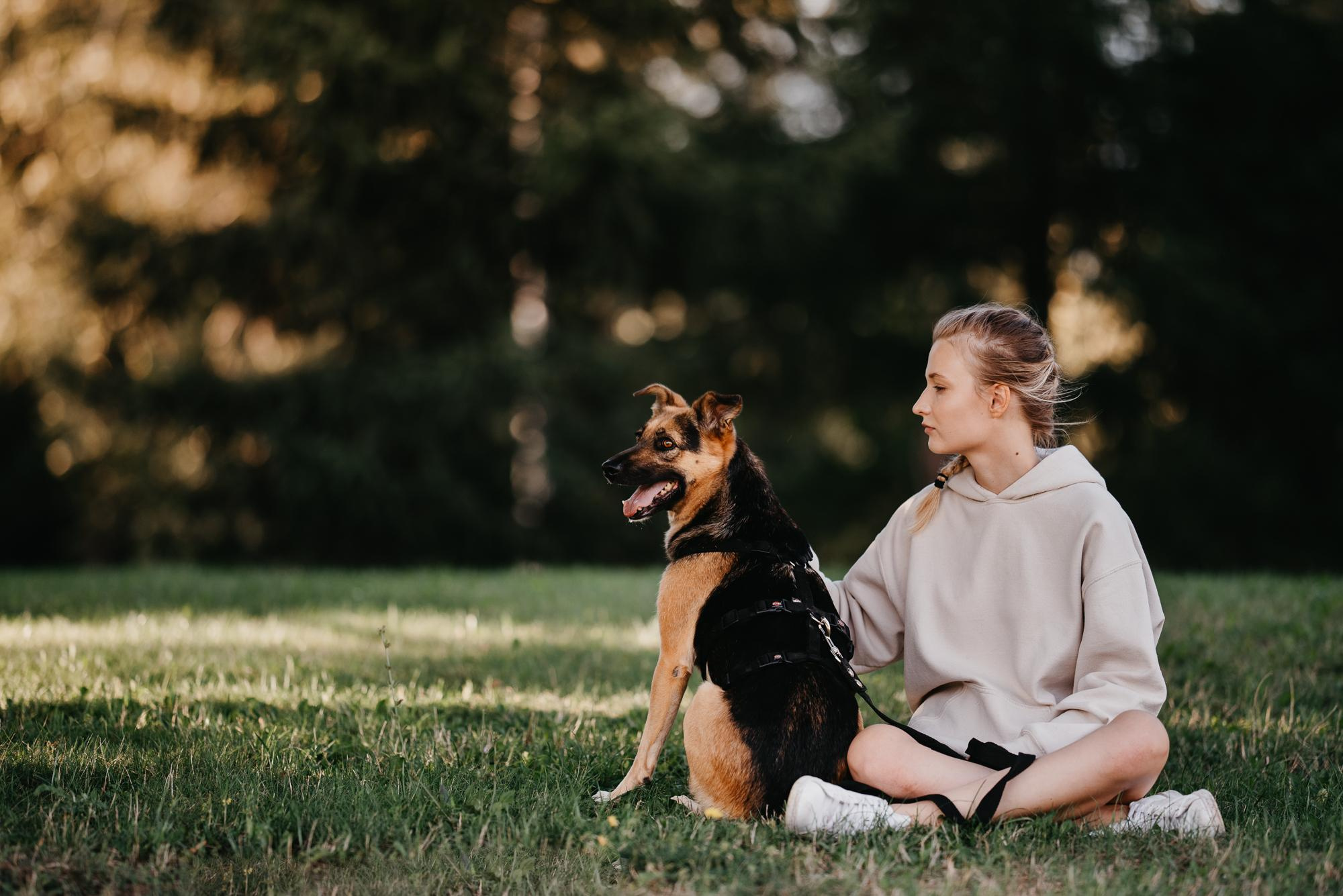 Are they looking for or have found a family. Real moments between people and their dogs