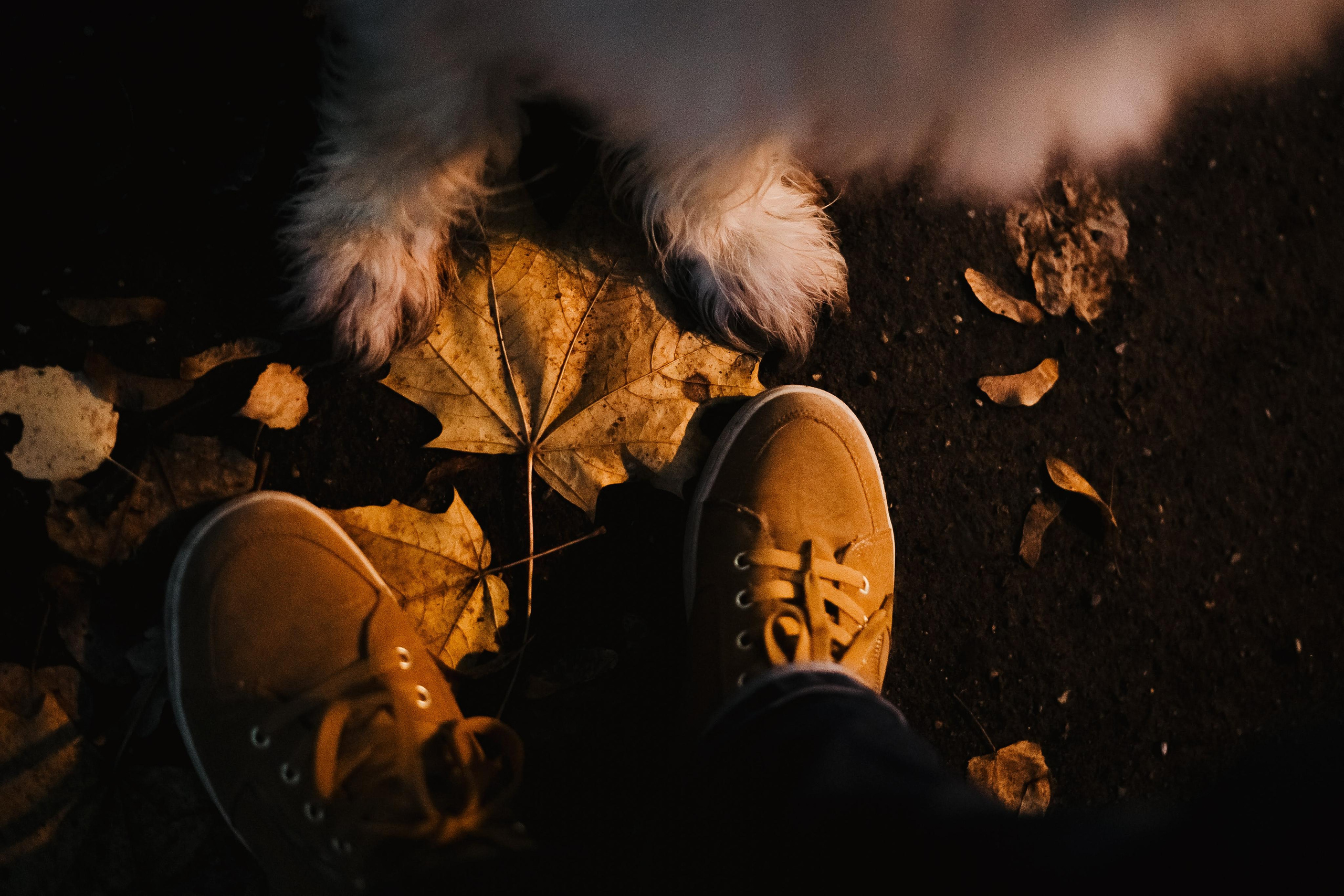 Julia and Marta. Real moments between people and their dogs