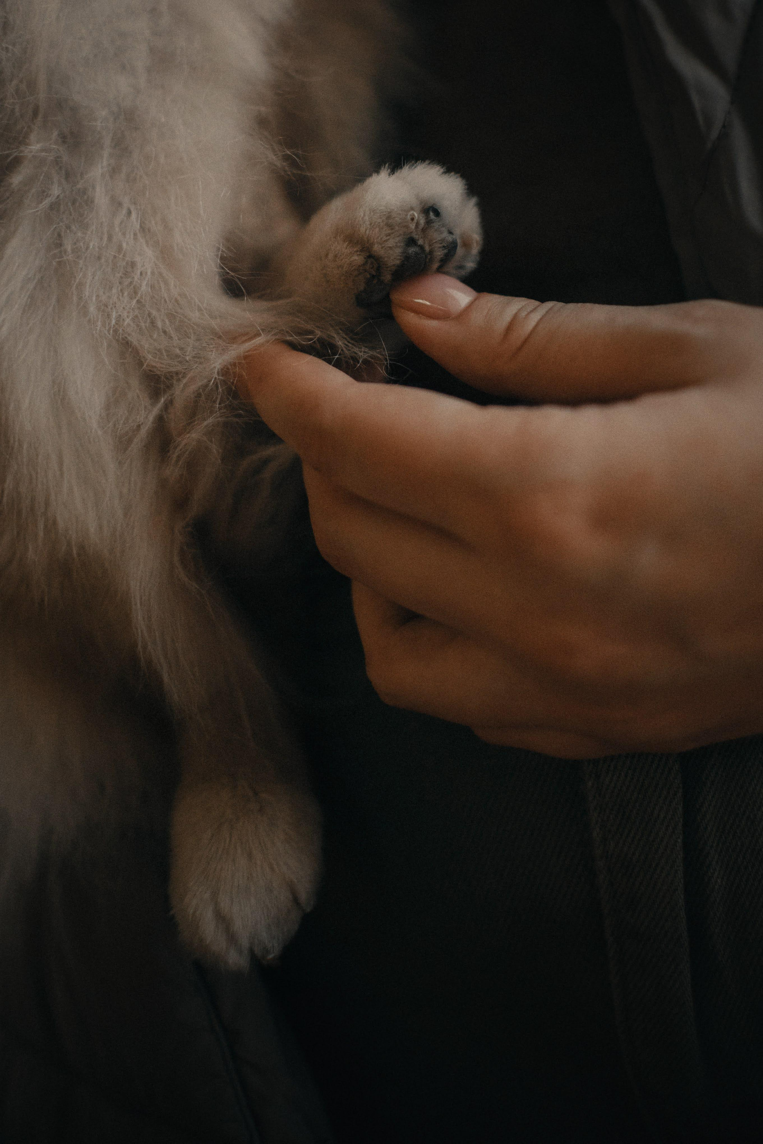 Anastasia and Vesta. Real moments between people and their dogs