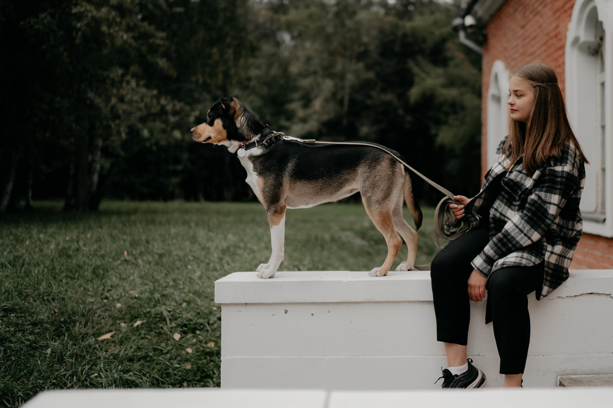 Elena and Molli. Real moments between people and their dogs