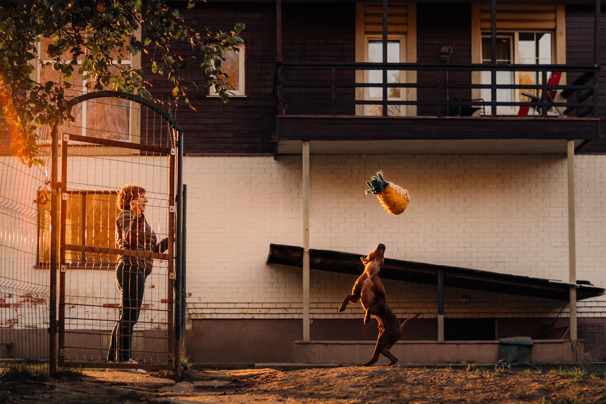 Are they looking for or have found a family. Real moments between people and their dogs