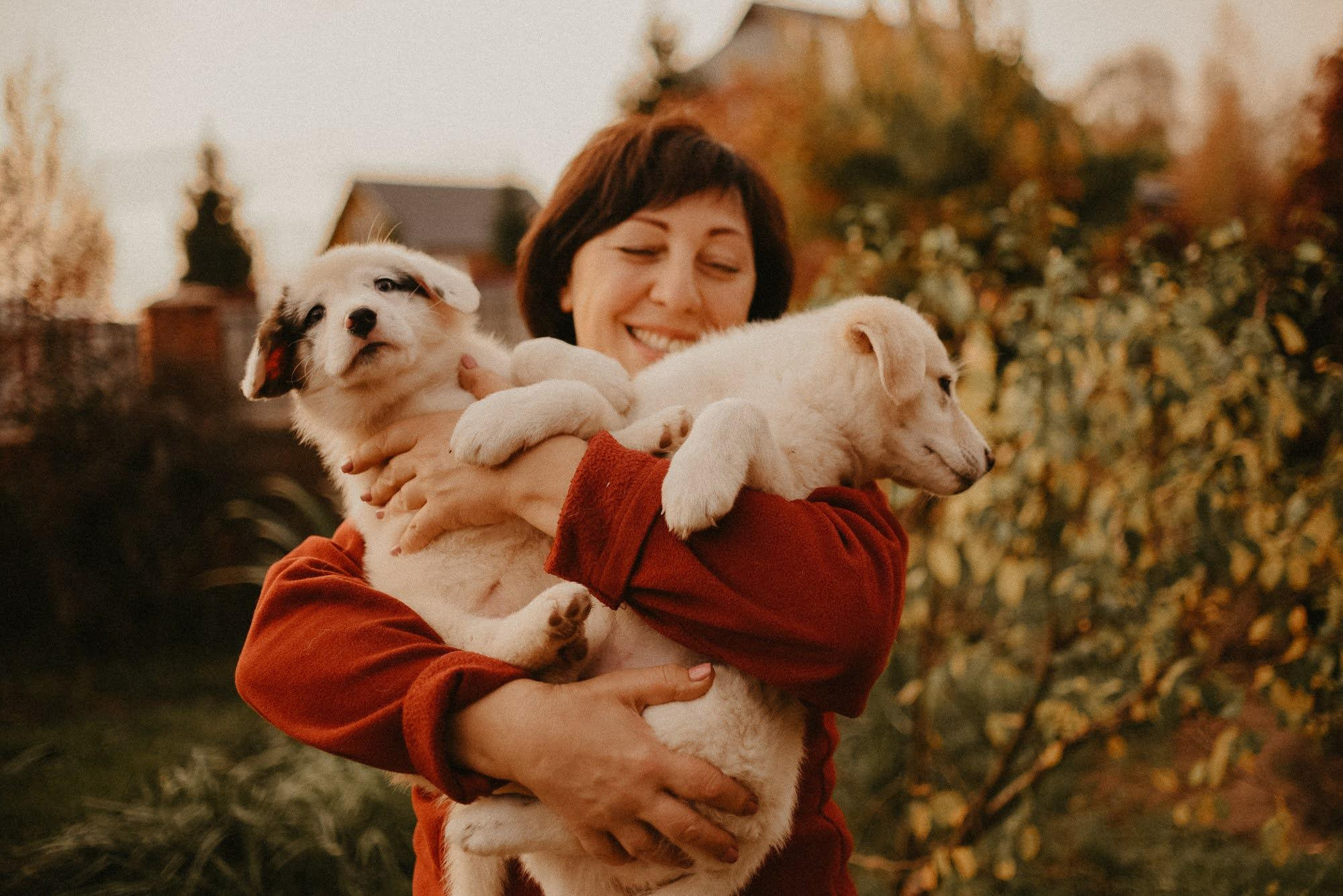 Are they looking for or have found a family. Real moments between people and their dogs