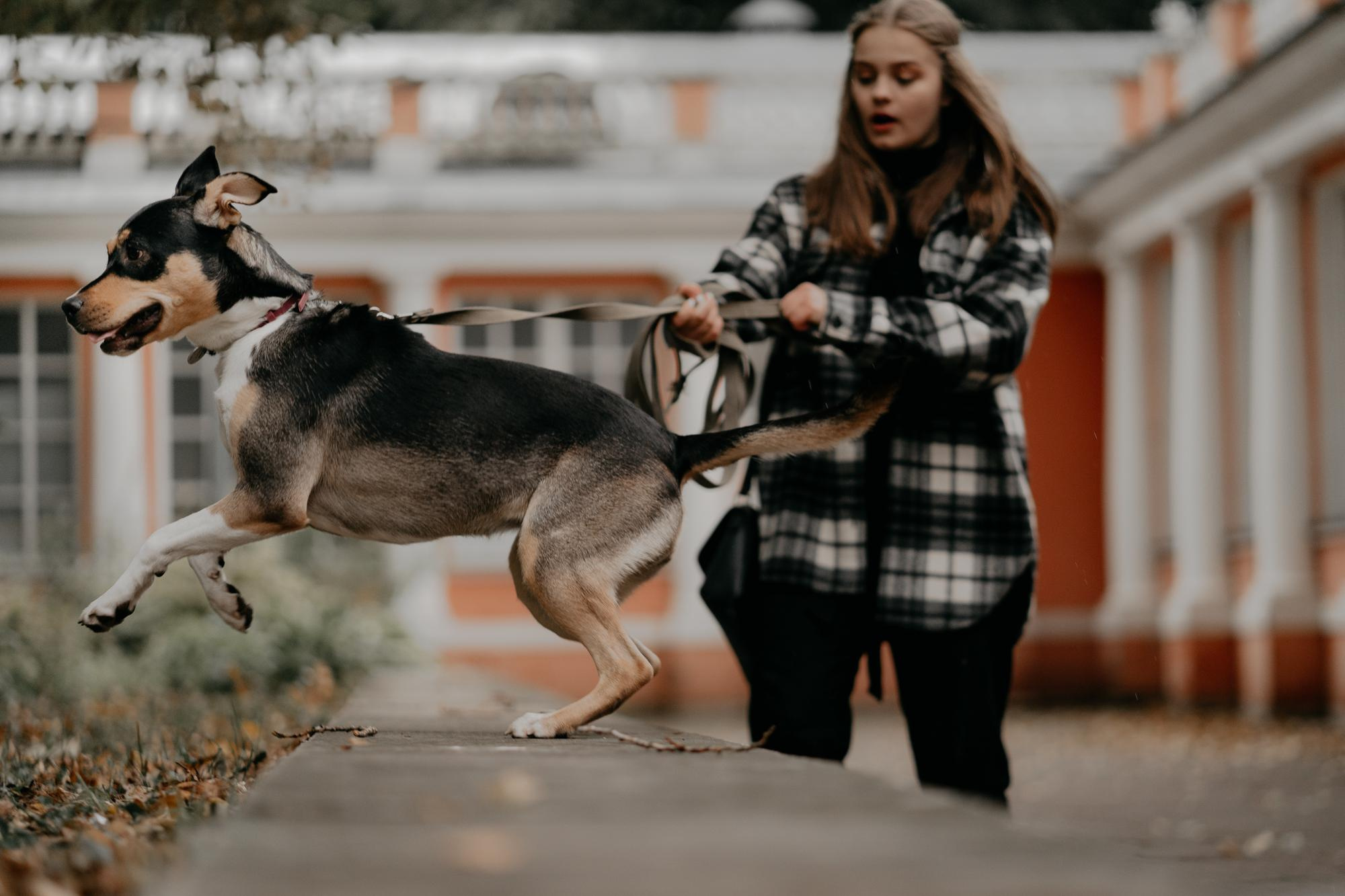 Elena and Molli. Real moments between people and their dogs