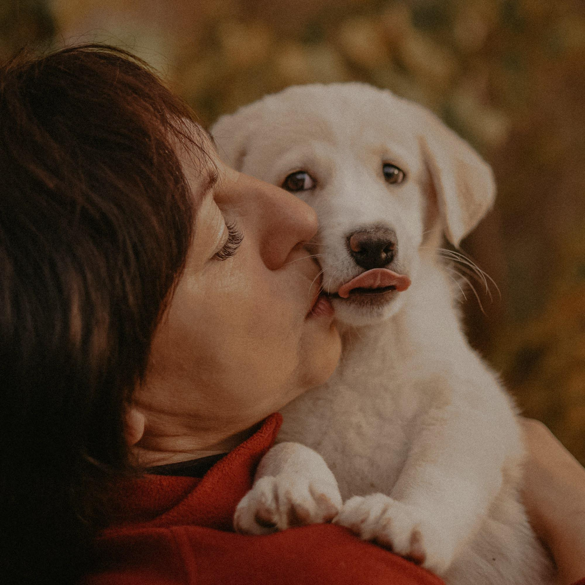 Are they looking for or have found a family. Real moments between people and their dogs