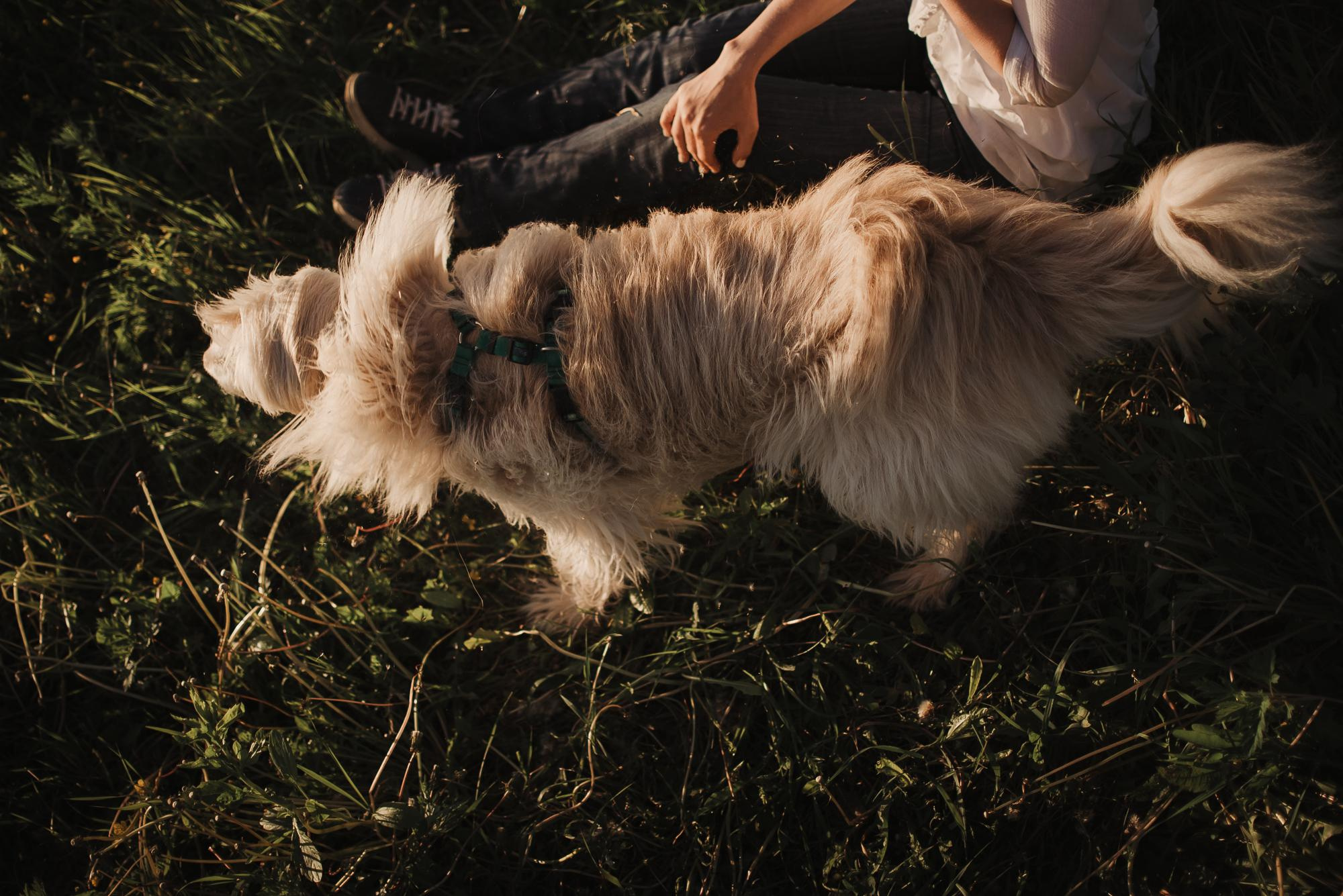 Julia and Marta. Real moments between people and their dogs