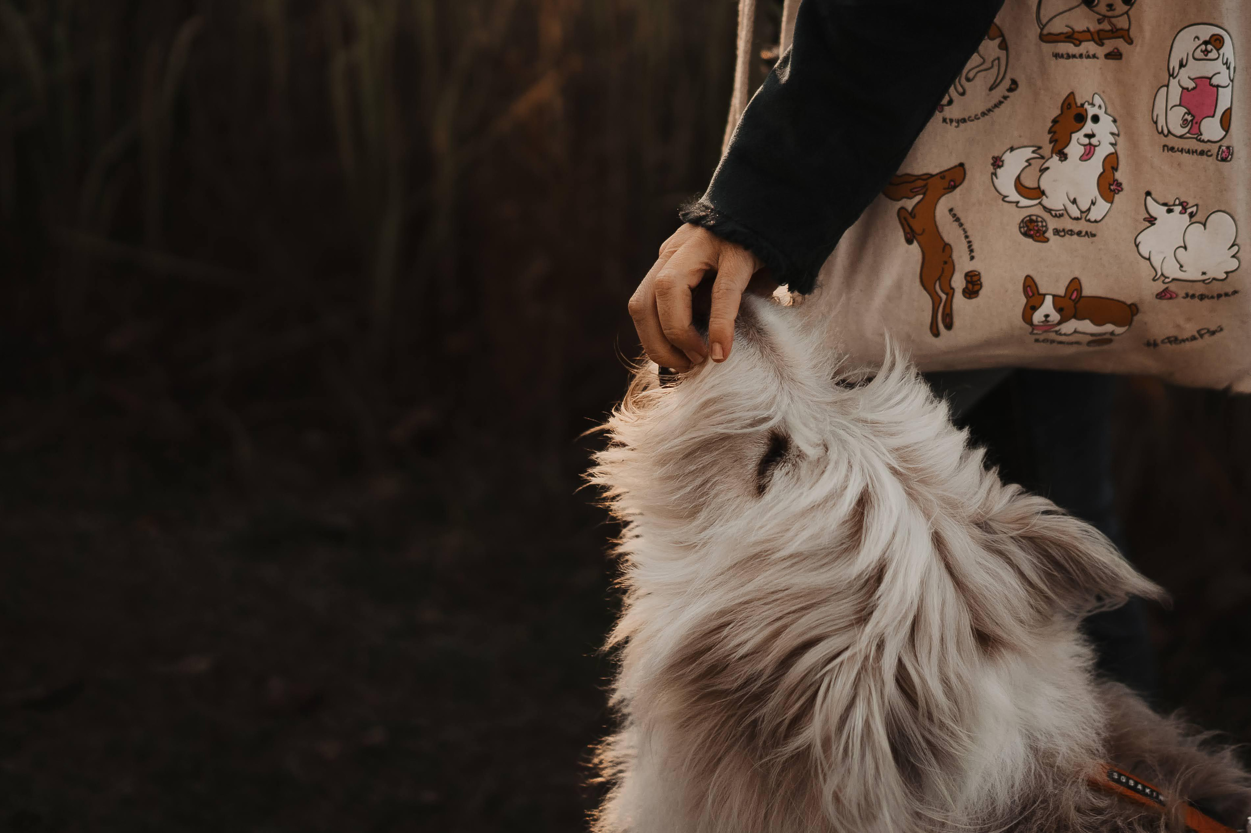 Julia and Marta. Real moments between people and their dogs