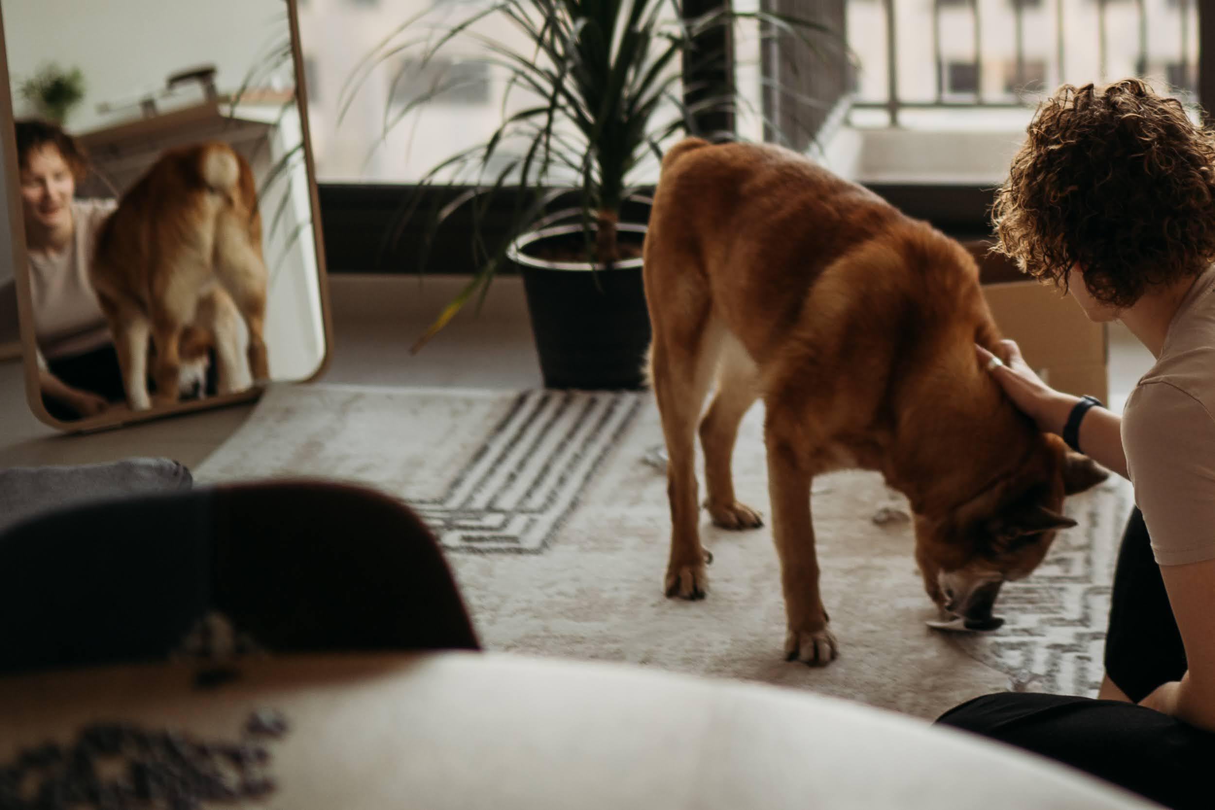 Violet and Hvostik. Real moments between people and their dogs