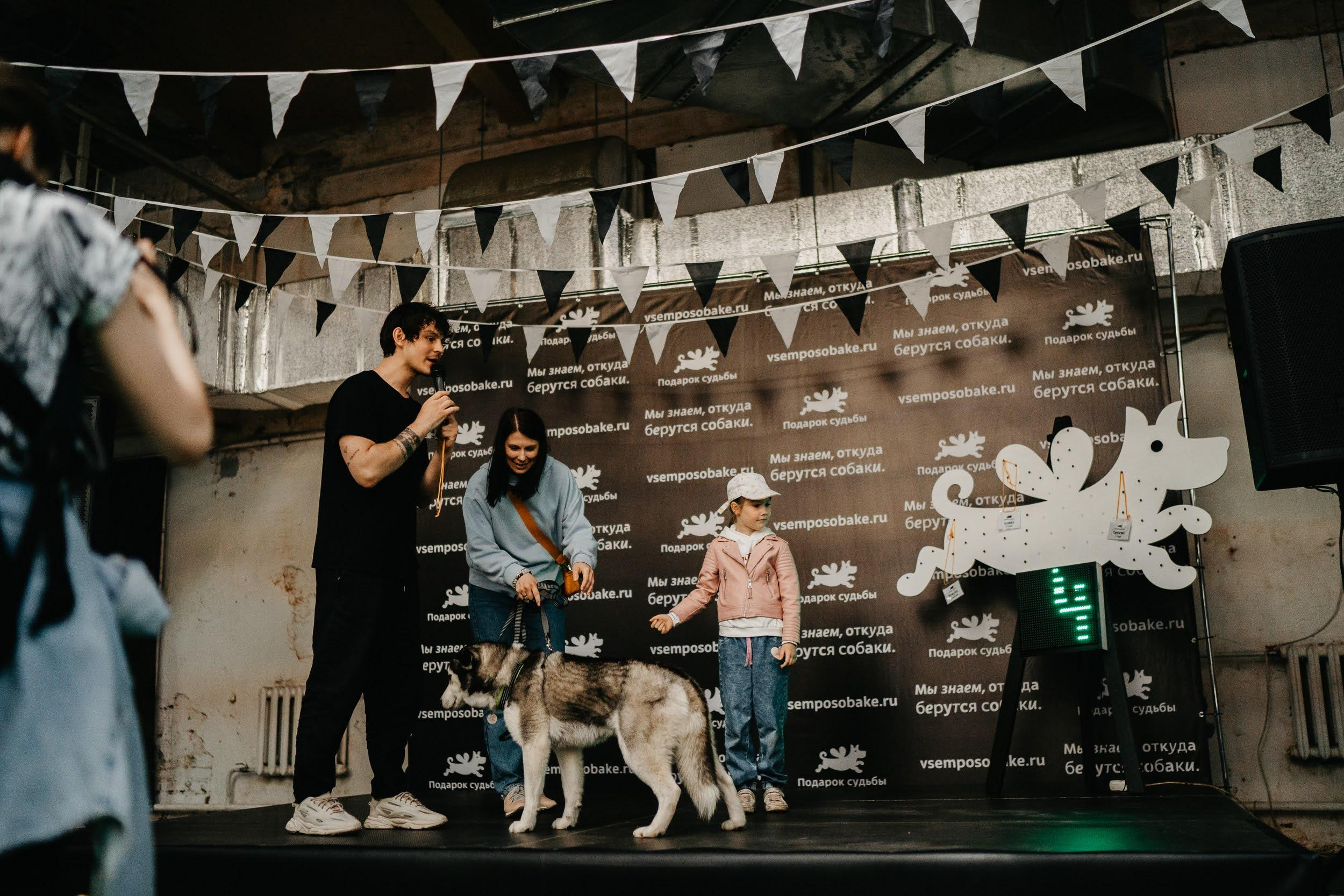 Shelter dogs. Real moments between people and their dogs