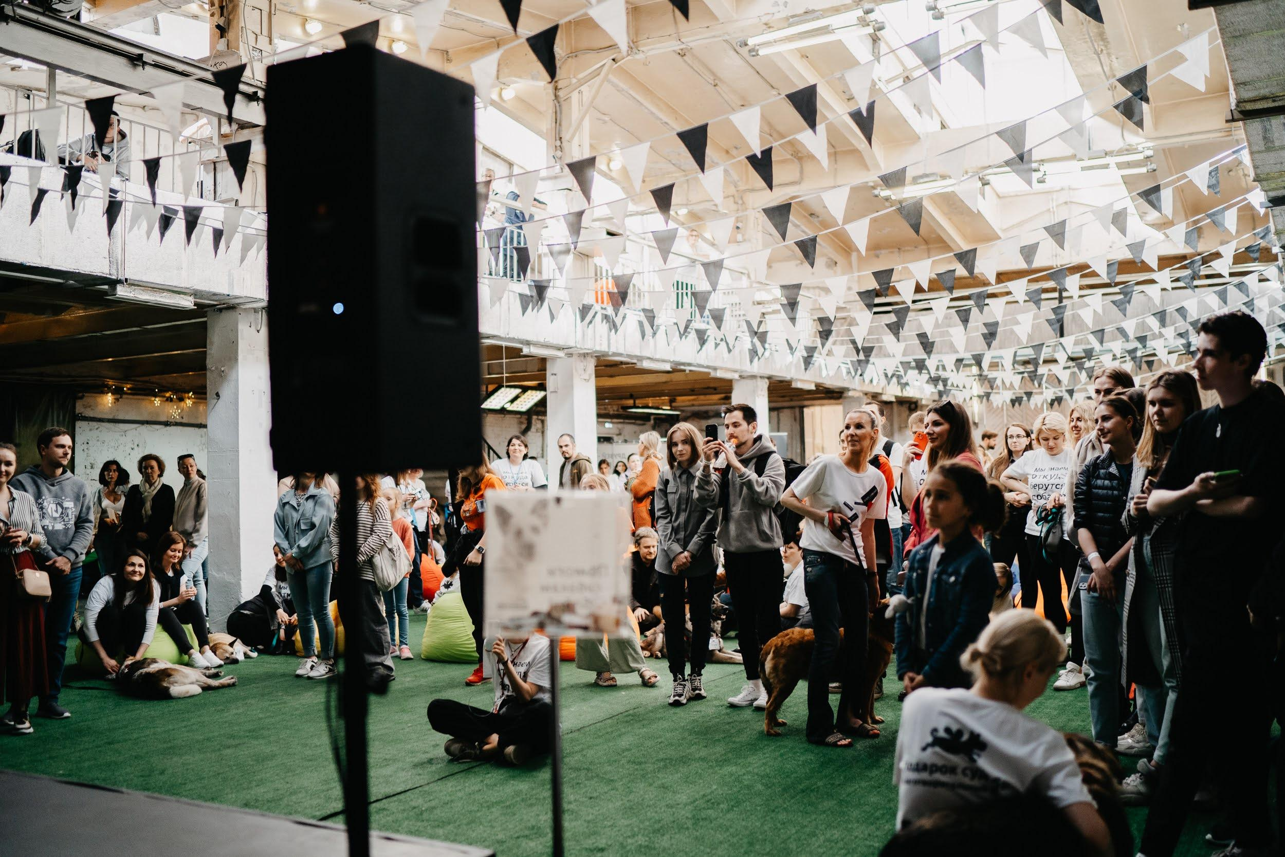 Shelter dogs. Real moments between people and their dogs