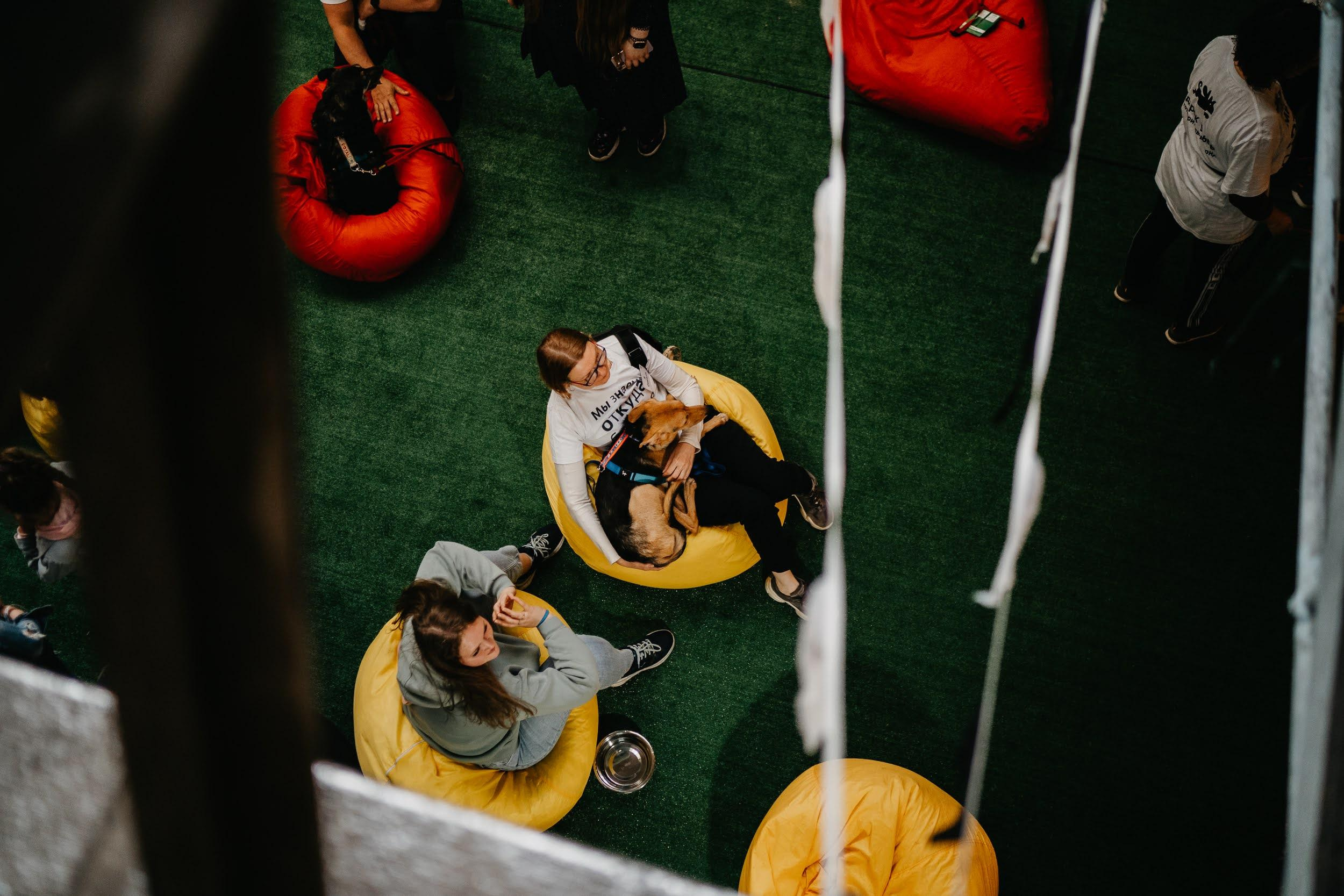 Shelter dogs. Real moments between people and their dogs