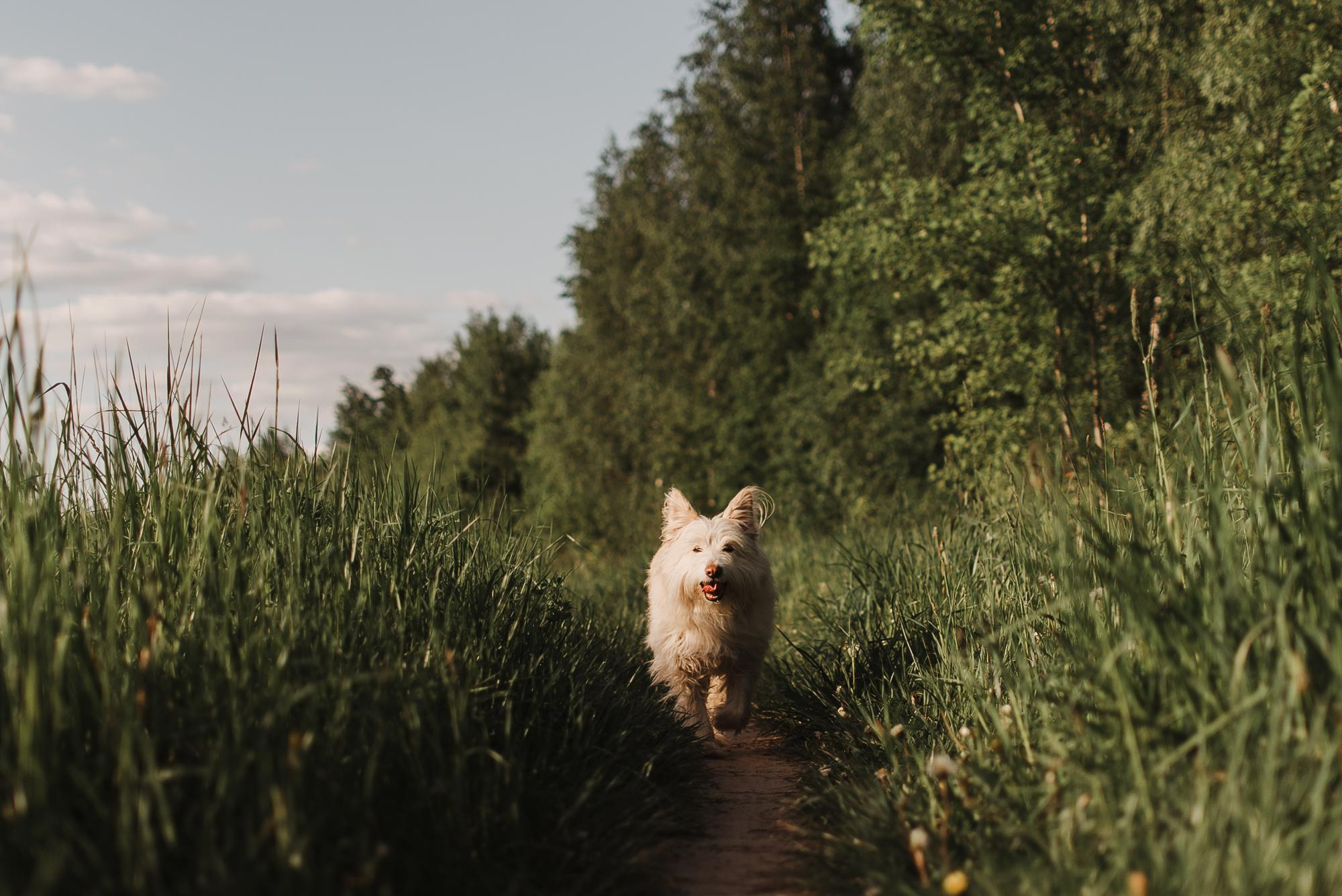 Julia and Marta. Real moments between people and their dogs