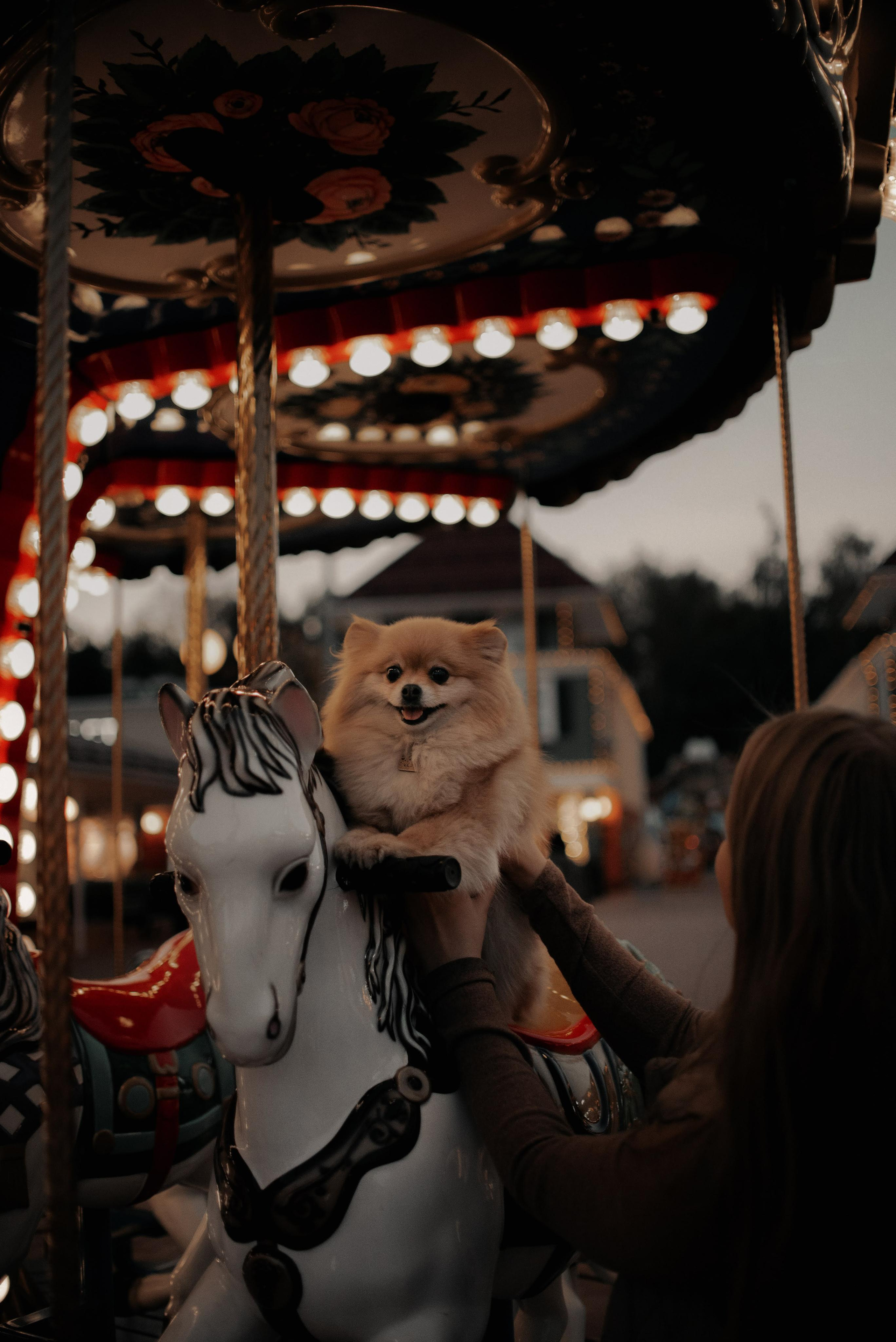 Anastasia and Vesta. Real moments between people and their dogs
