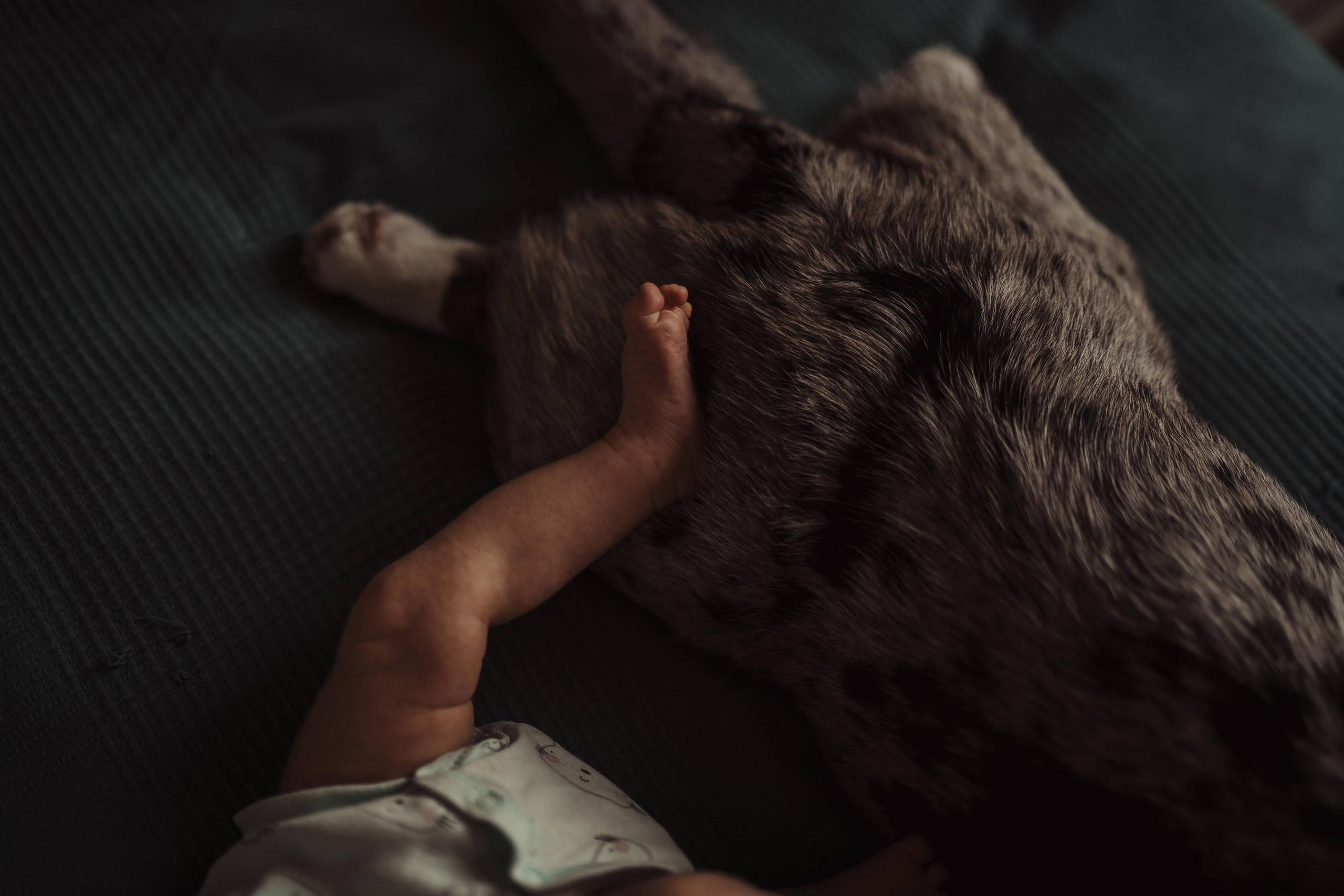 Family photo shoot. Real moments between people and their dogs