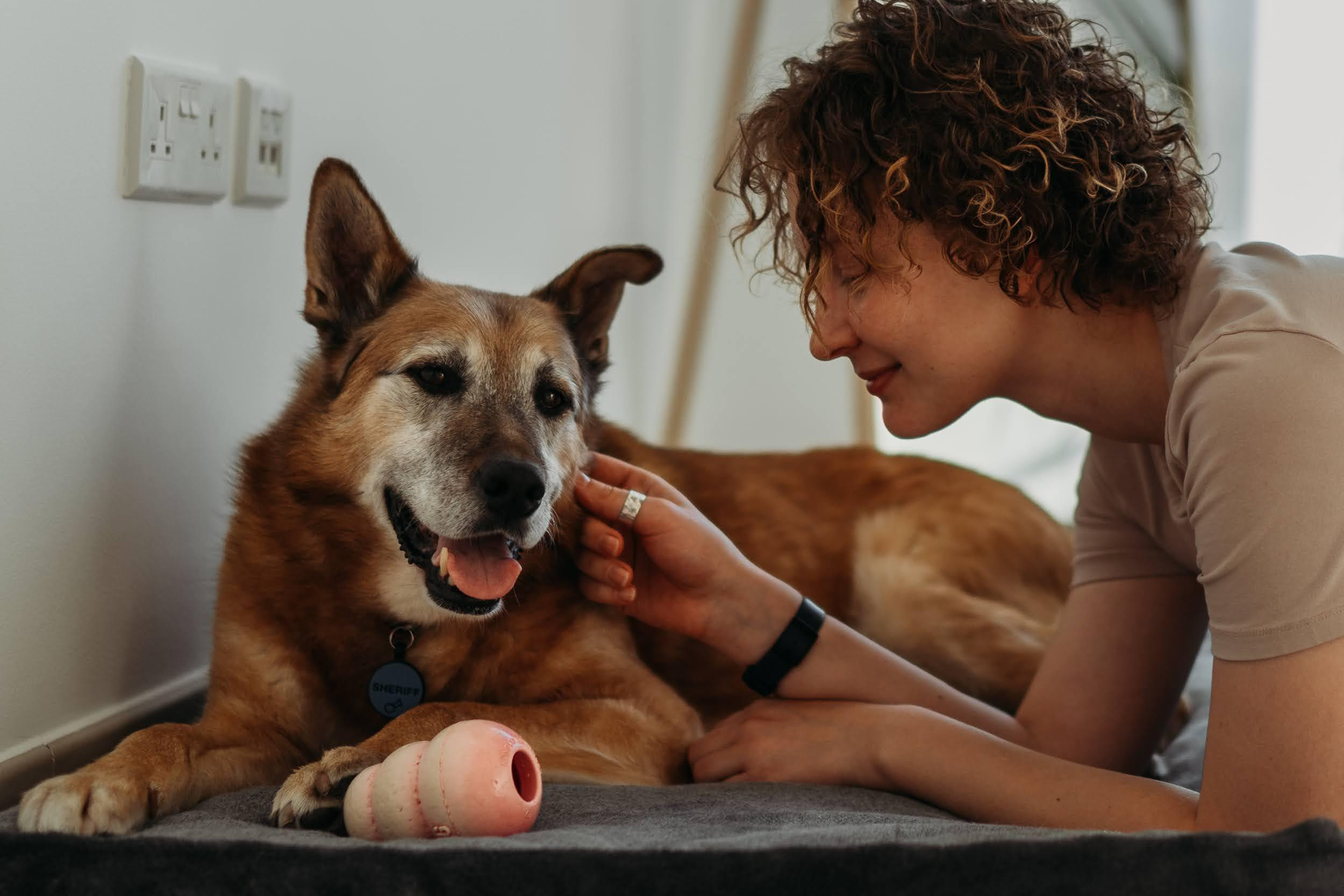 Violet and Hvostik. Real moments between people and their dogs