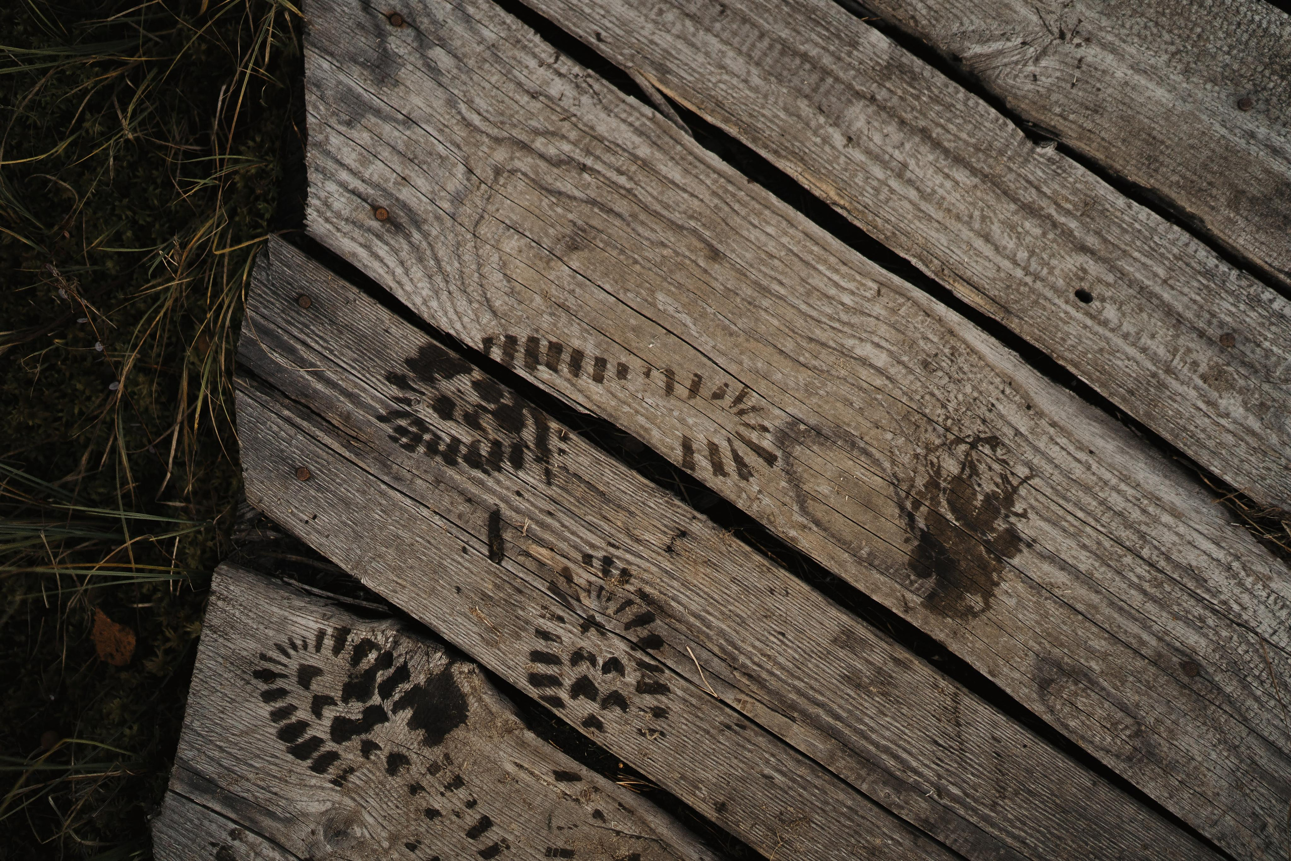 Julia and Marta. Real moments between people and their dogs