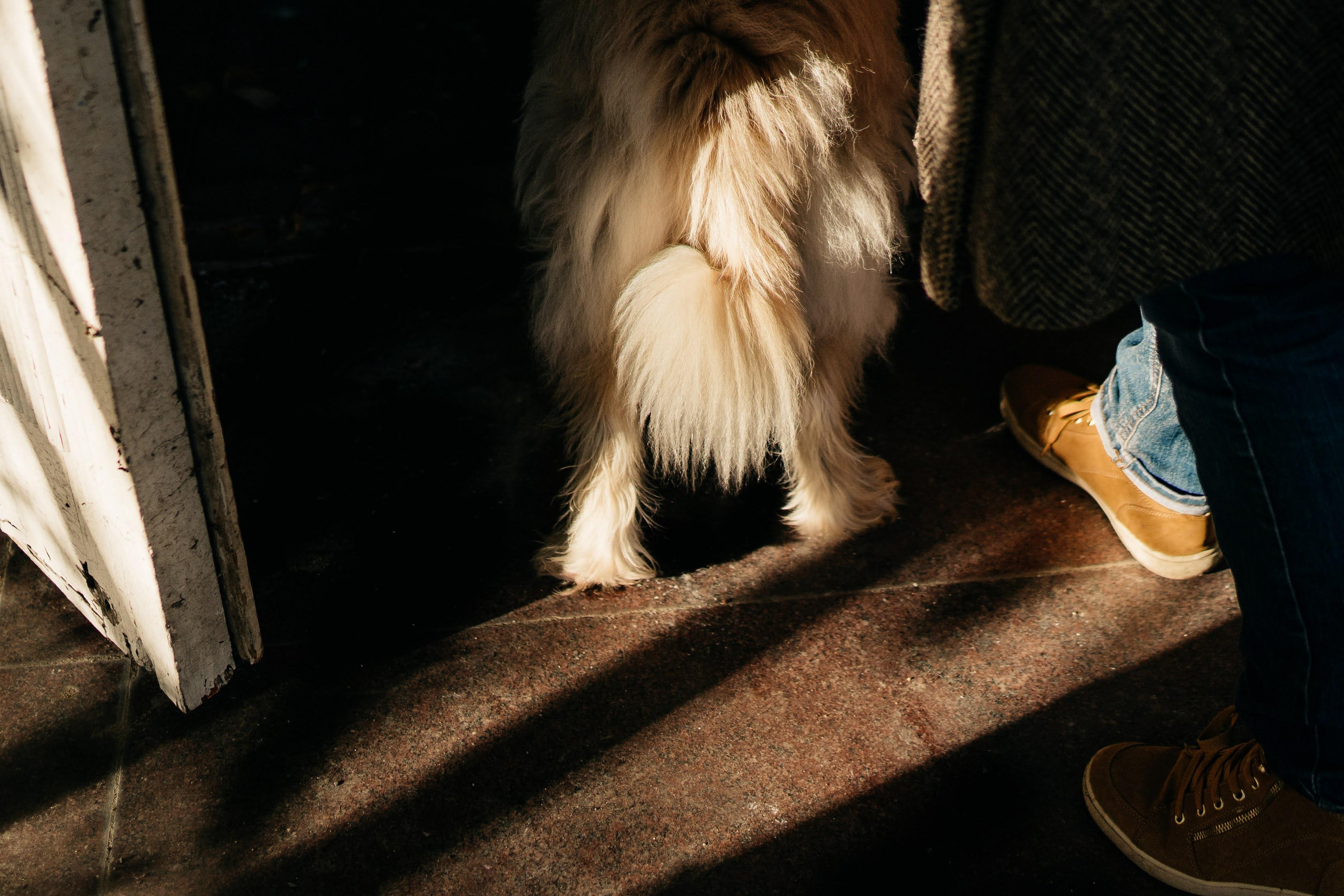 Julia and Marta. Real moments between people and their dogs