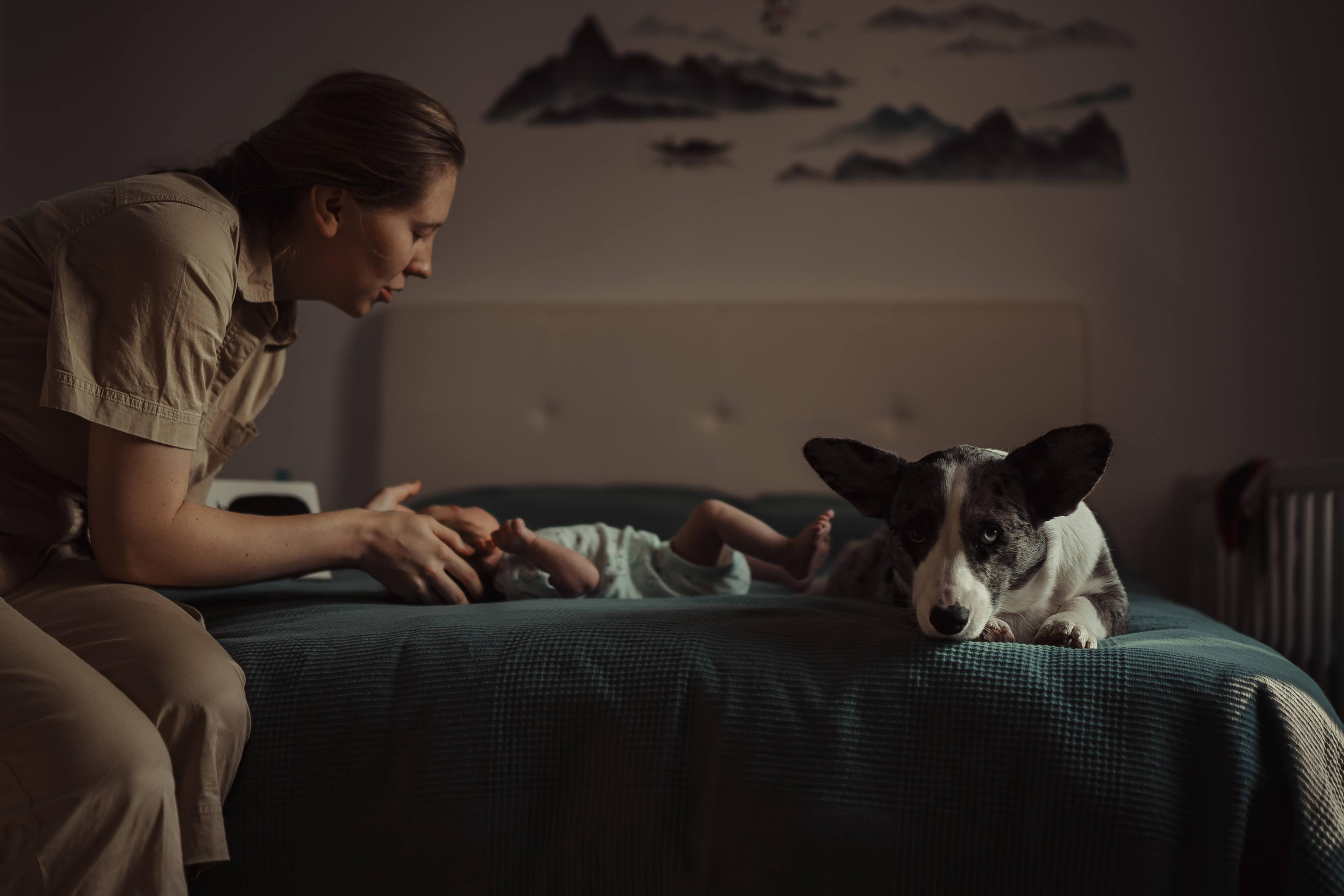 Family photo shoot. Real moments between people and their dogs