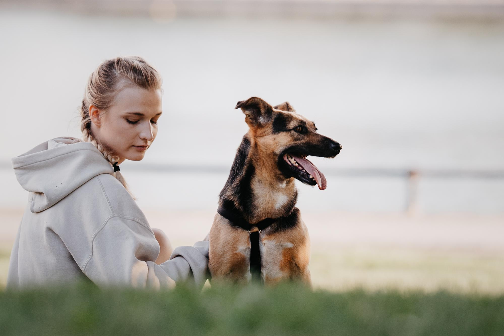 Are they looking for or have found a family. Real moments between people and their dogs