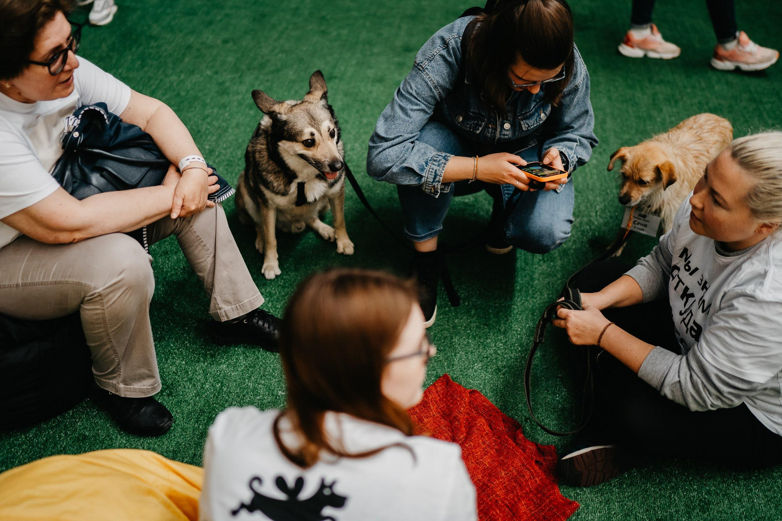 Shelter dogs. Real moments between people and their dogs