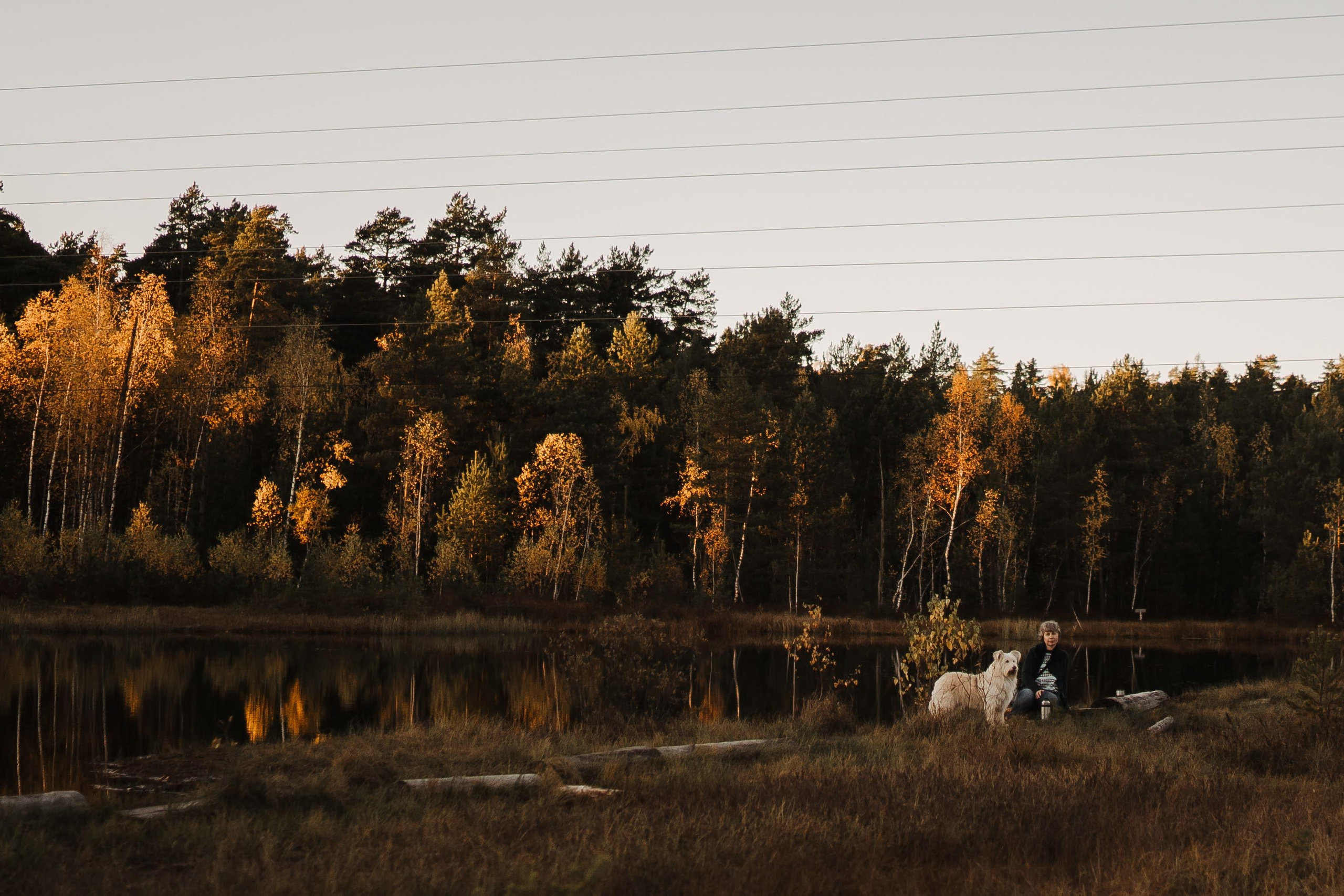 Julia and Marta. Real moments between people and their dogs