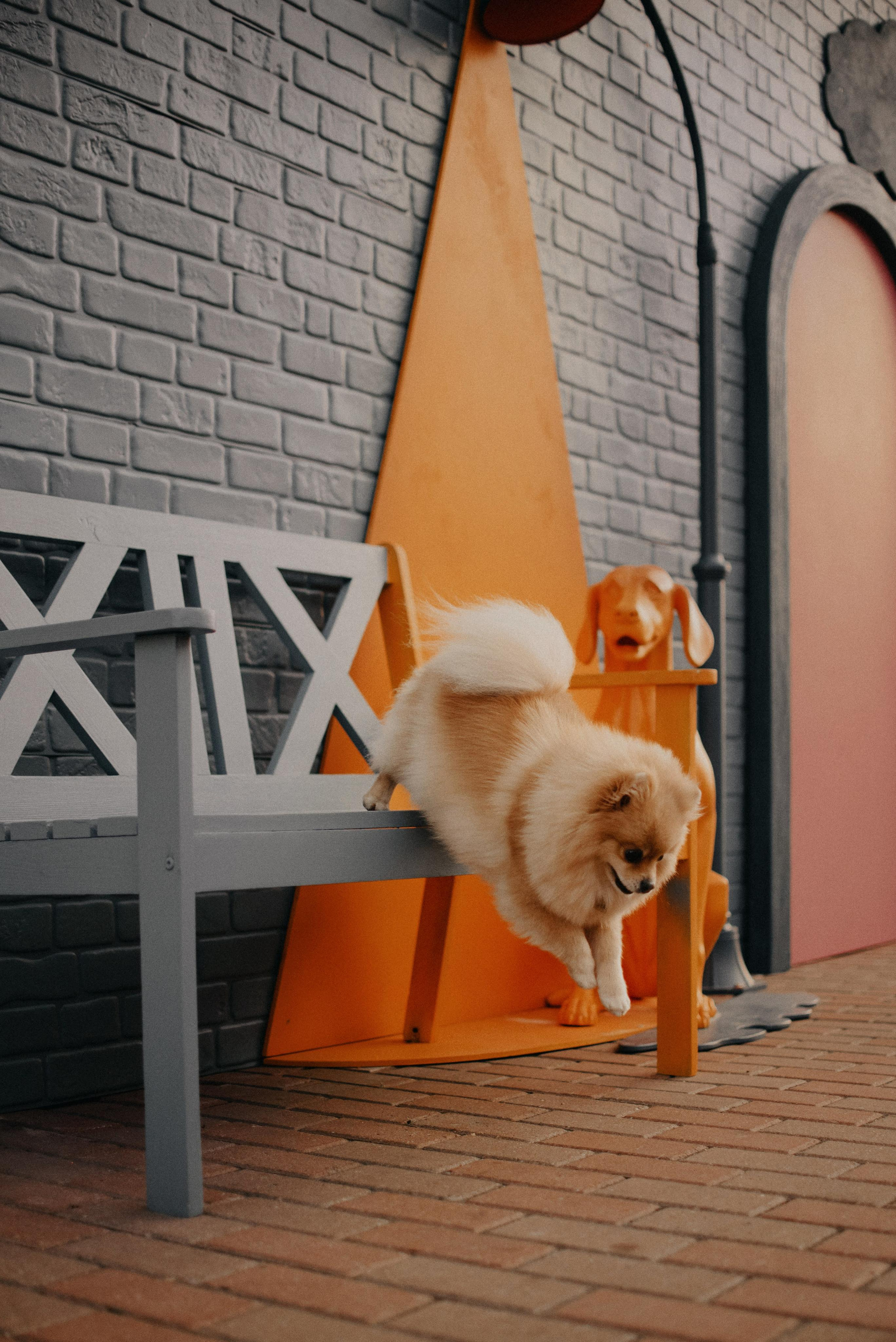 Anastasia and Vesta. Real moments between people and their dogs