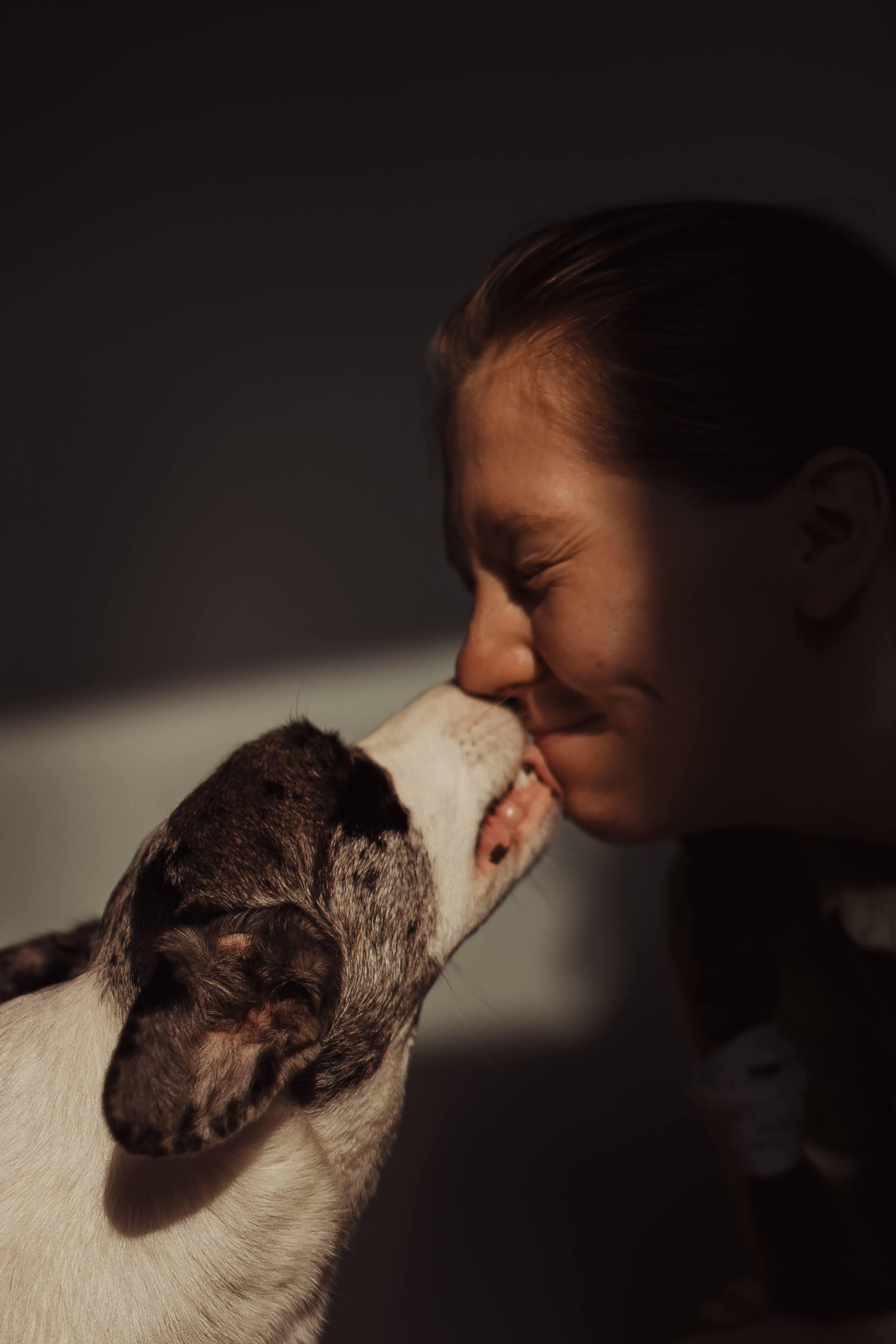Family photo shoot. Real moments between people and their dogs
