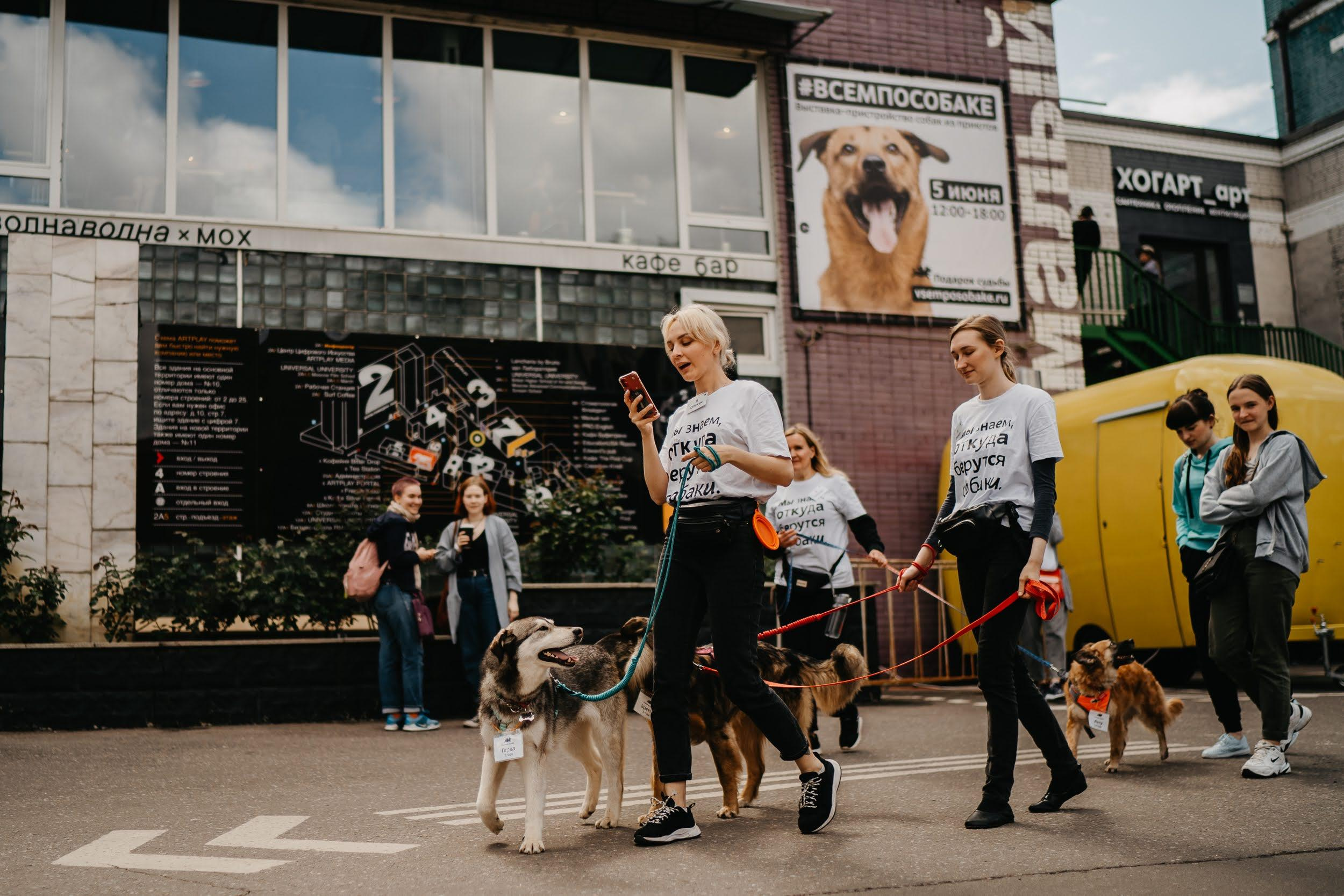 Shelter dogs. Real moments between people and their dogs