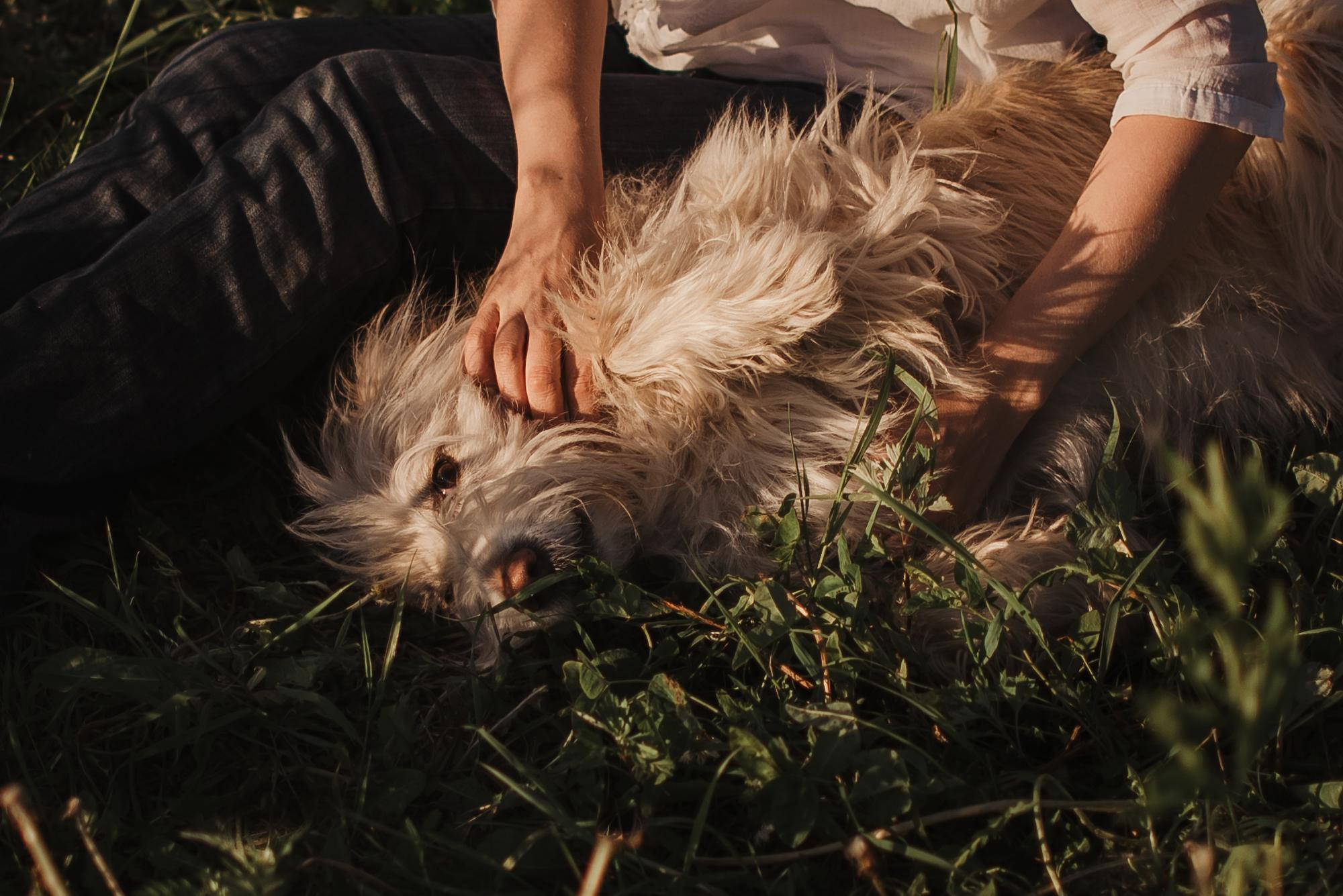 Julia and Marta. Real moments between people and their dogs