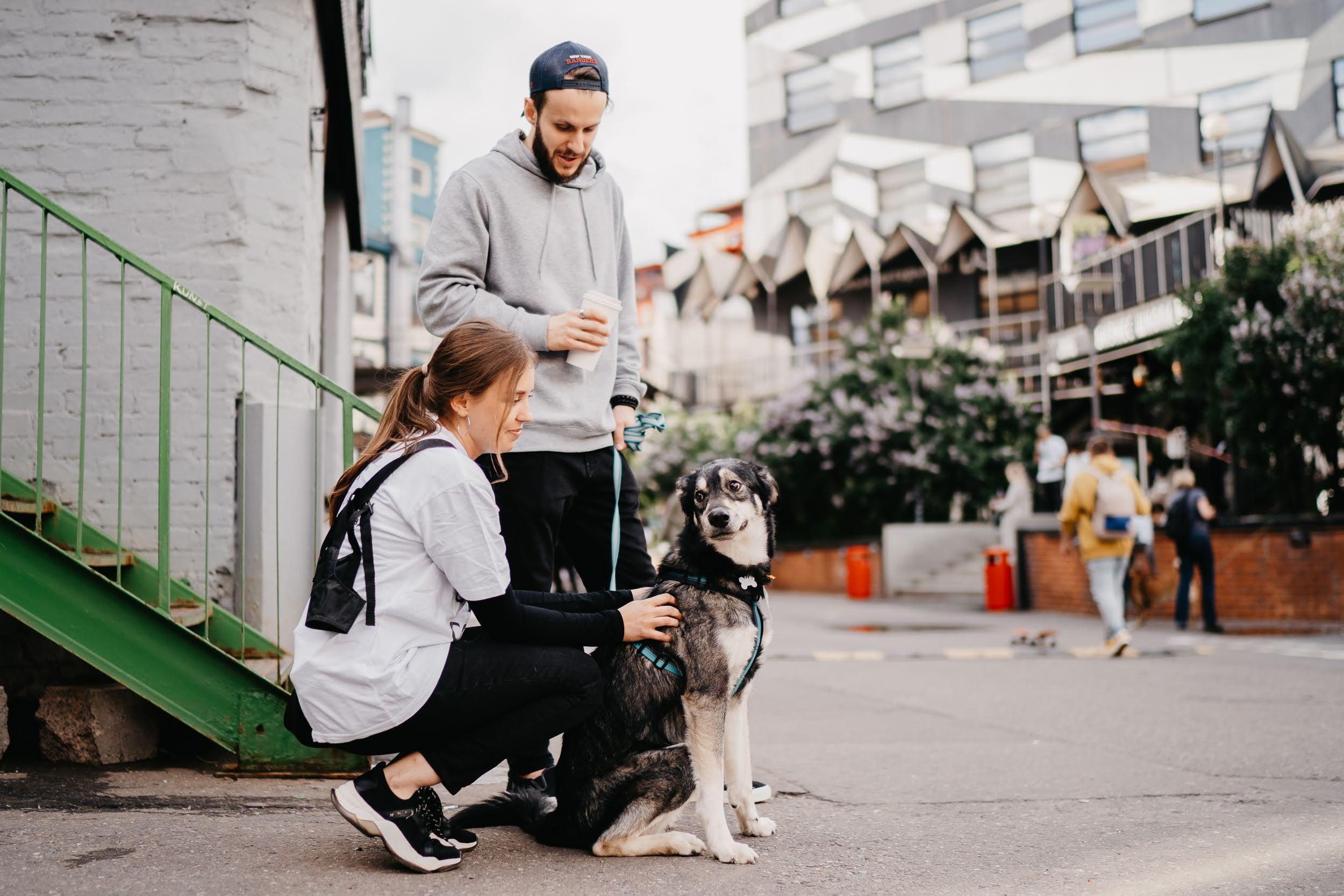 Shelter dogs. Real moments between people and their dogs