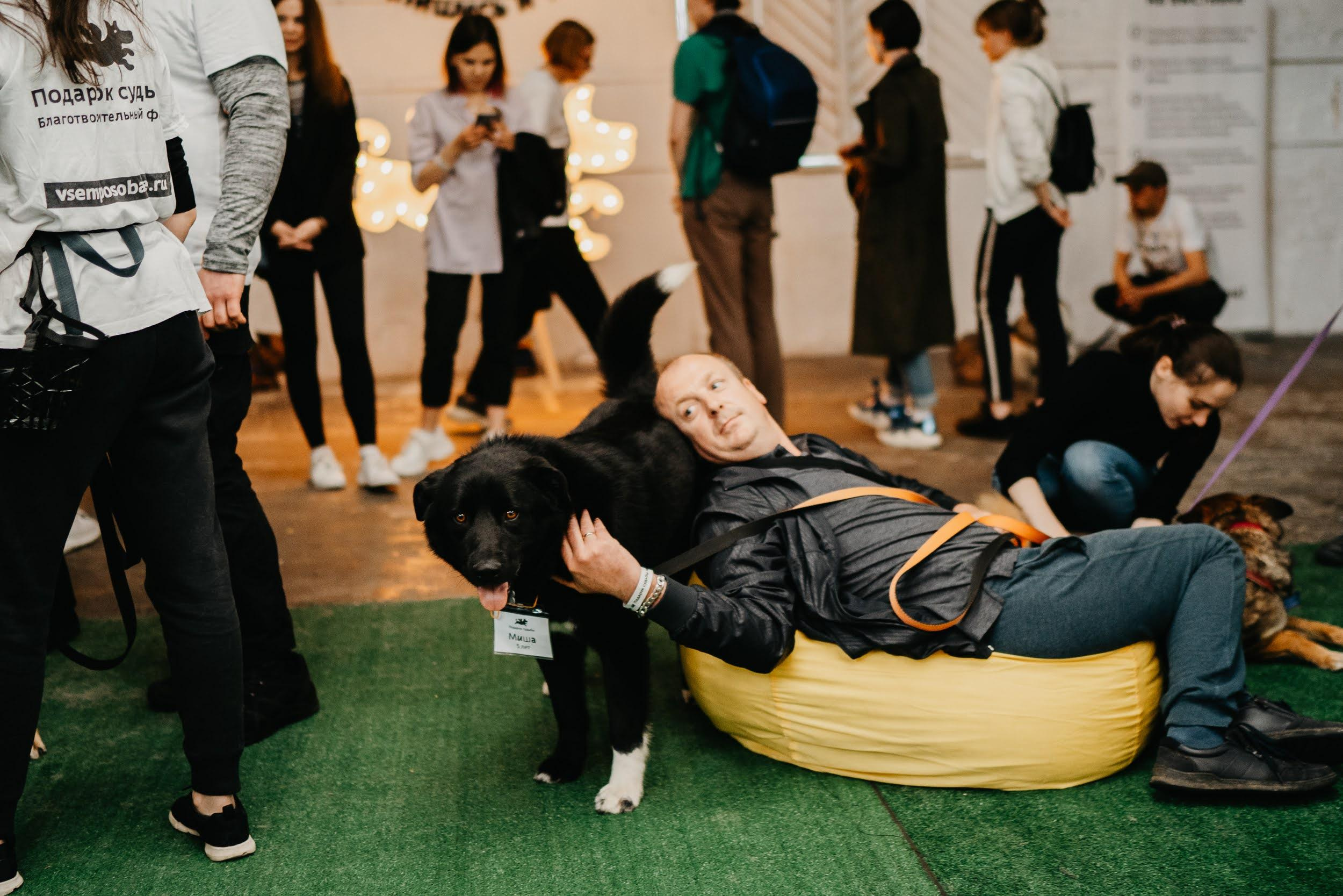 Shelter dogs. Real moments between people and their dogs