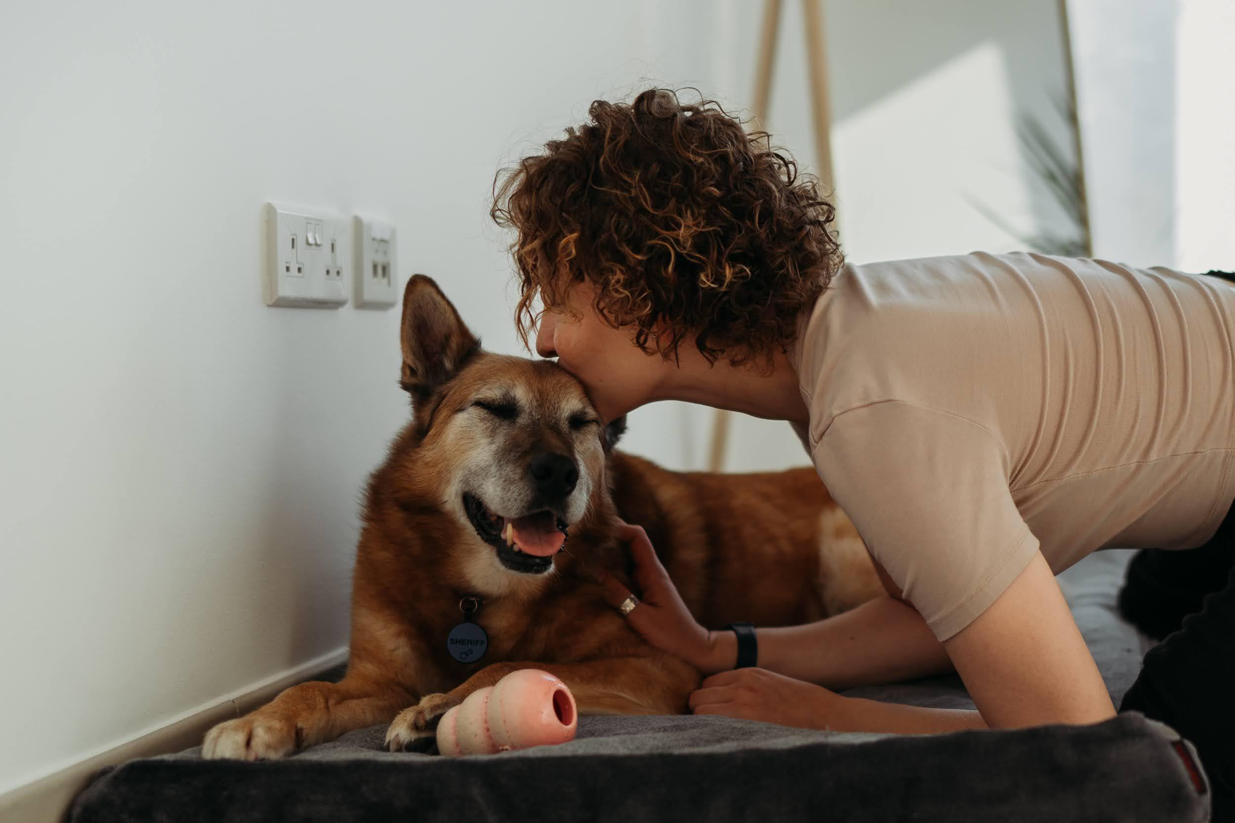 Violet and Hvostik. Real moments between people and their dogs