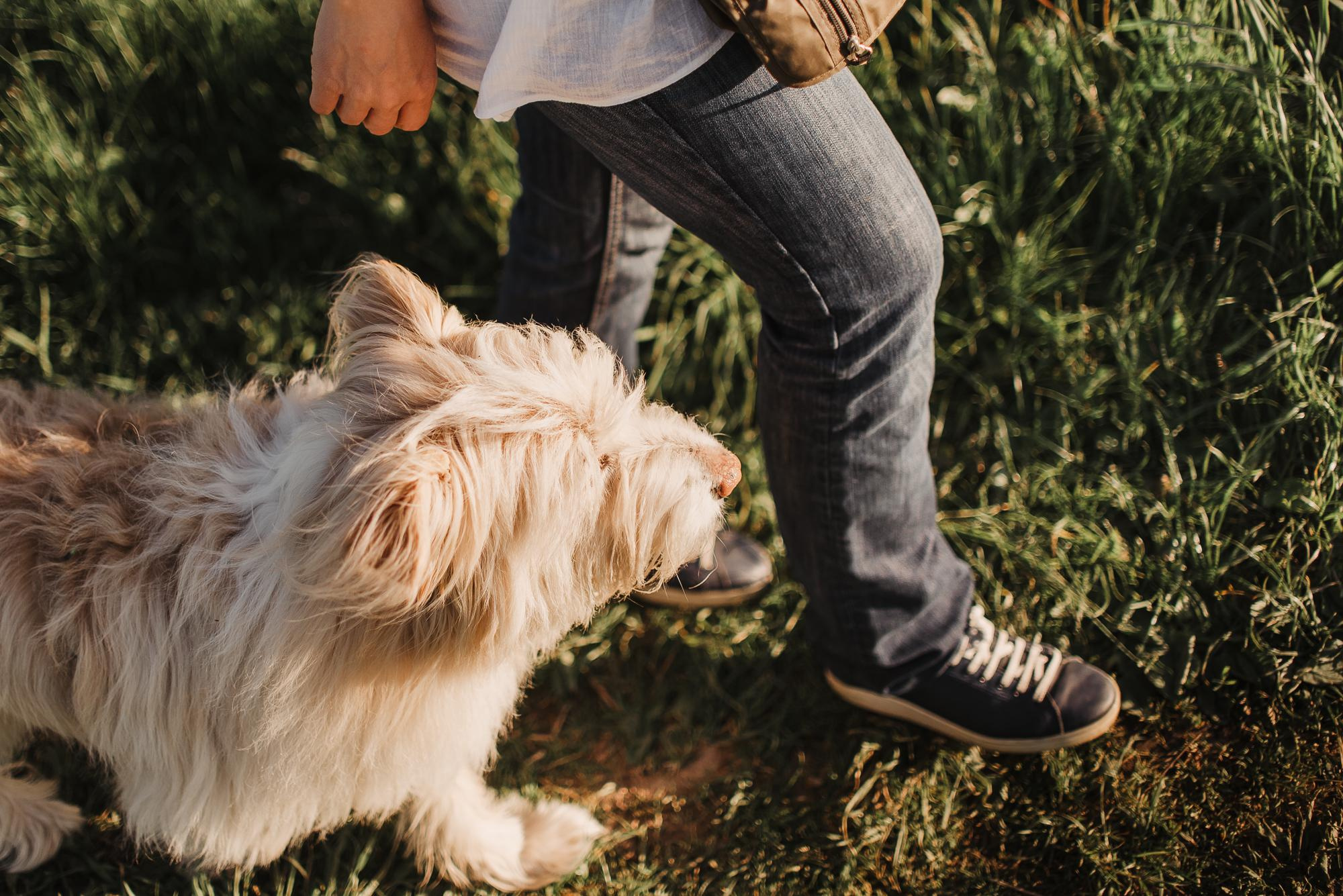 Julia and Marta. Real moments between people and their dogs