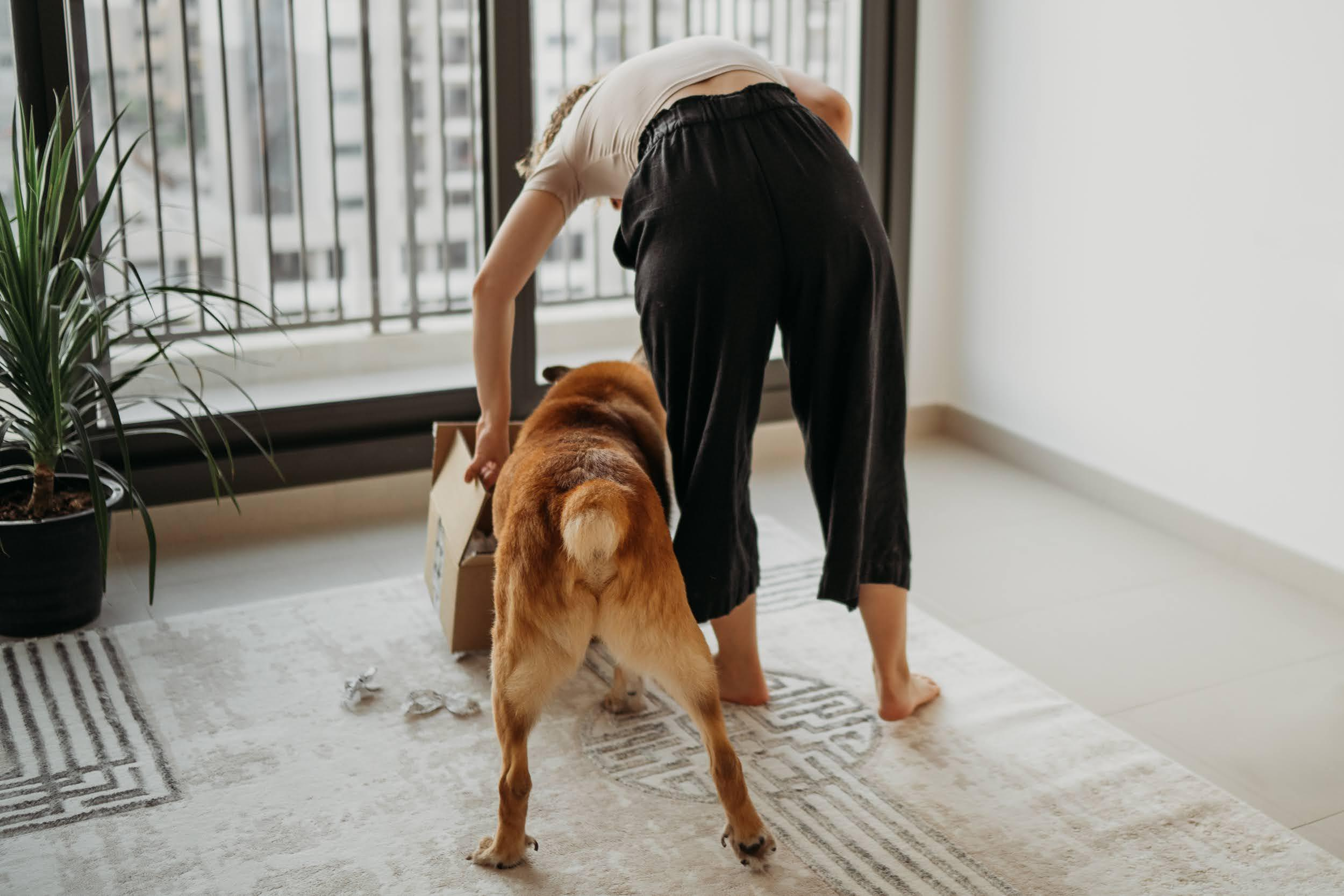 Violet and Hvostik. Real moments between people and their dogs