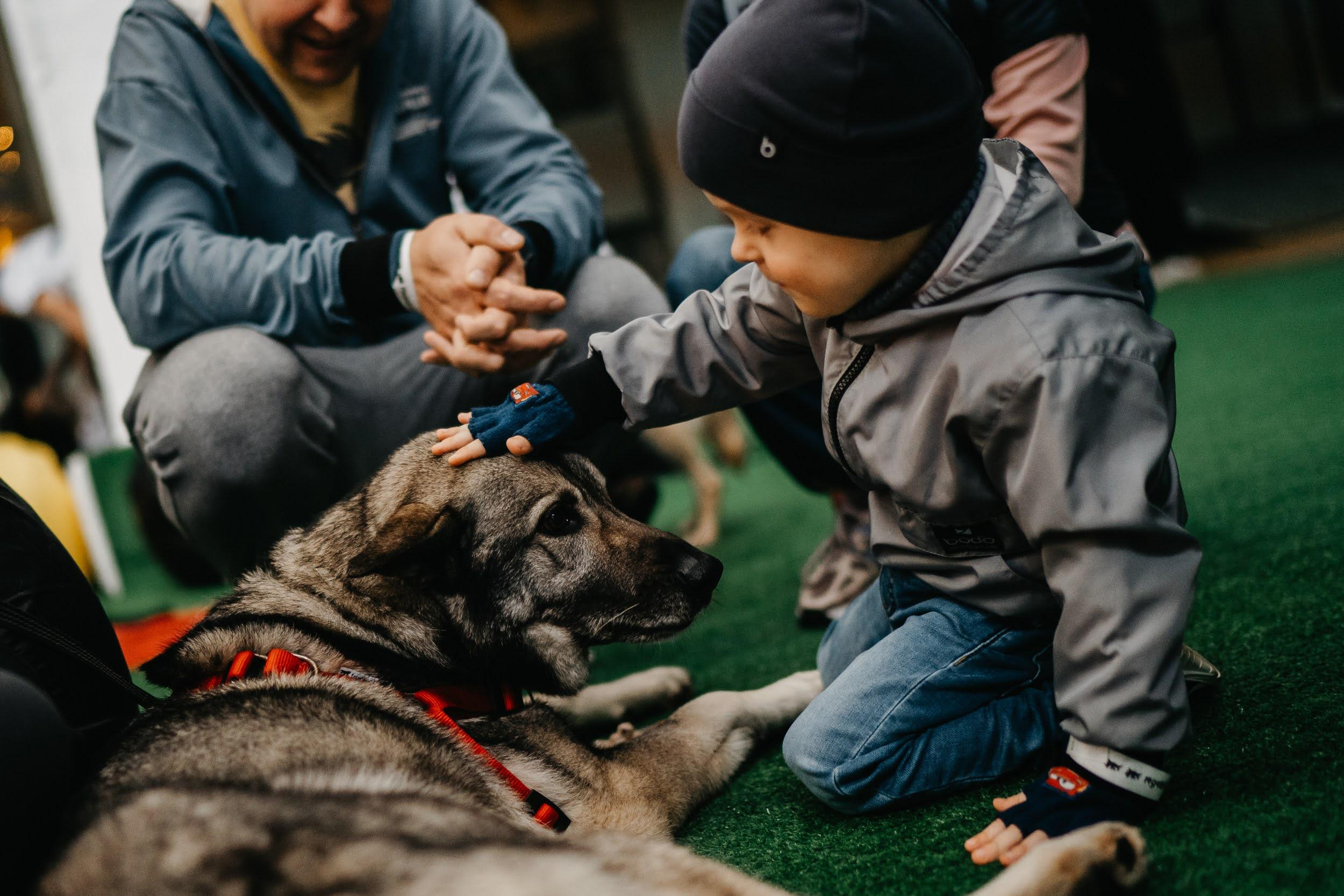 Shelter dogs. Real moments between people and their dogs