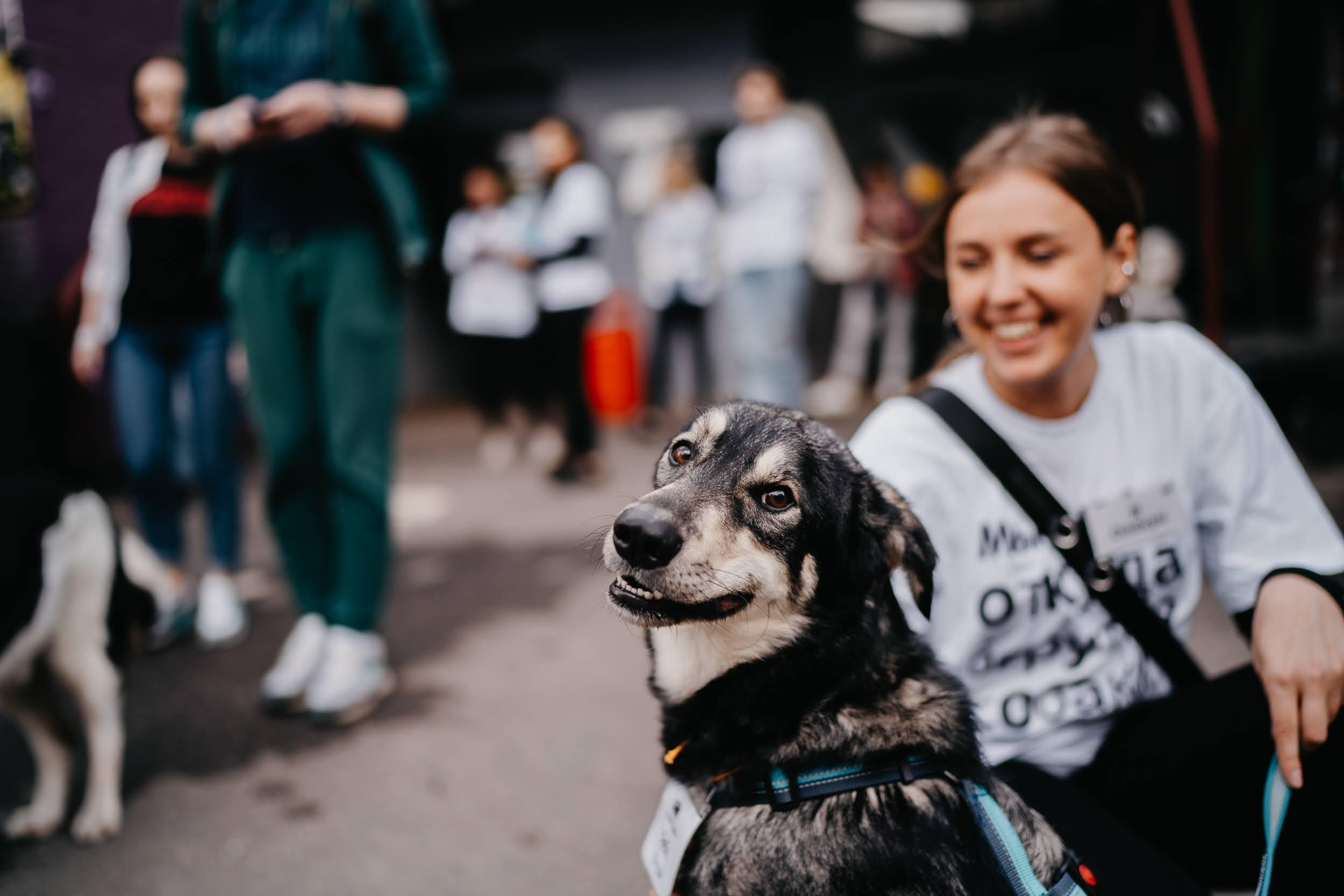 Shelter dogs. Real moments between people and their dogs