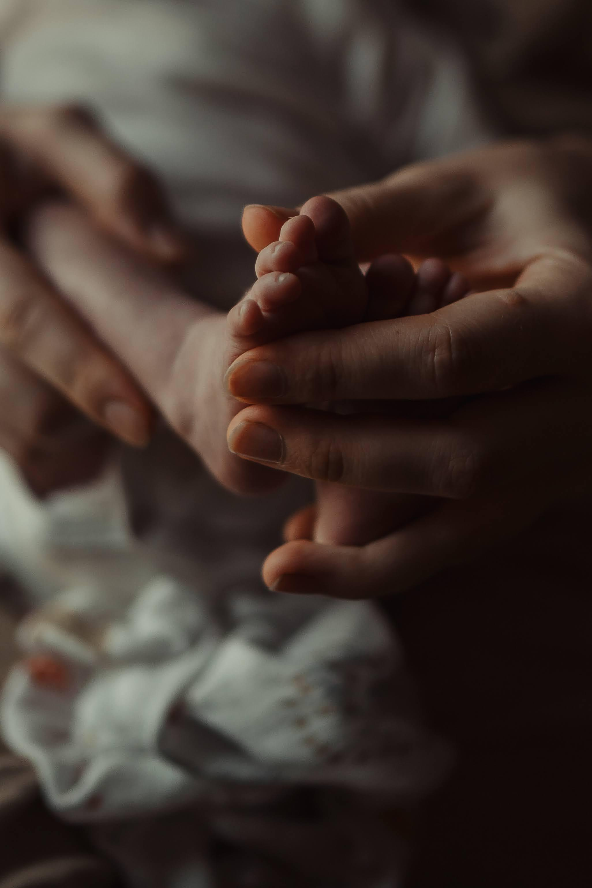 Family photo shoot. Real moments between people and their dogs